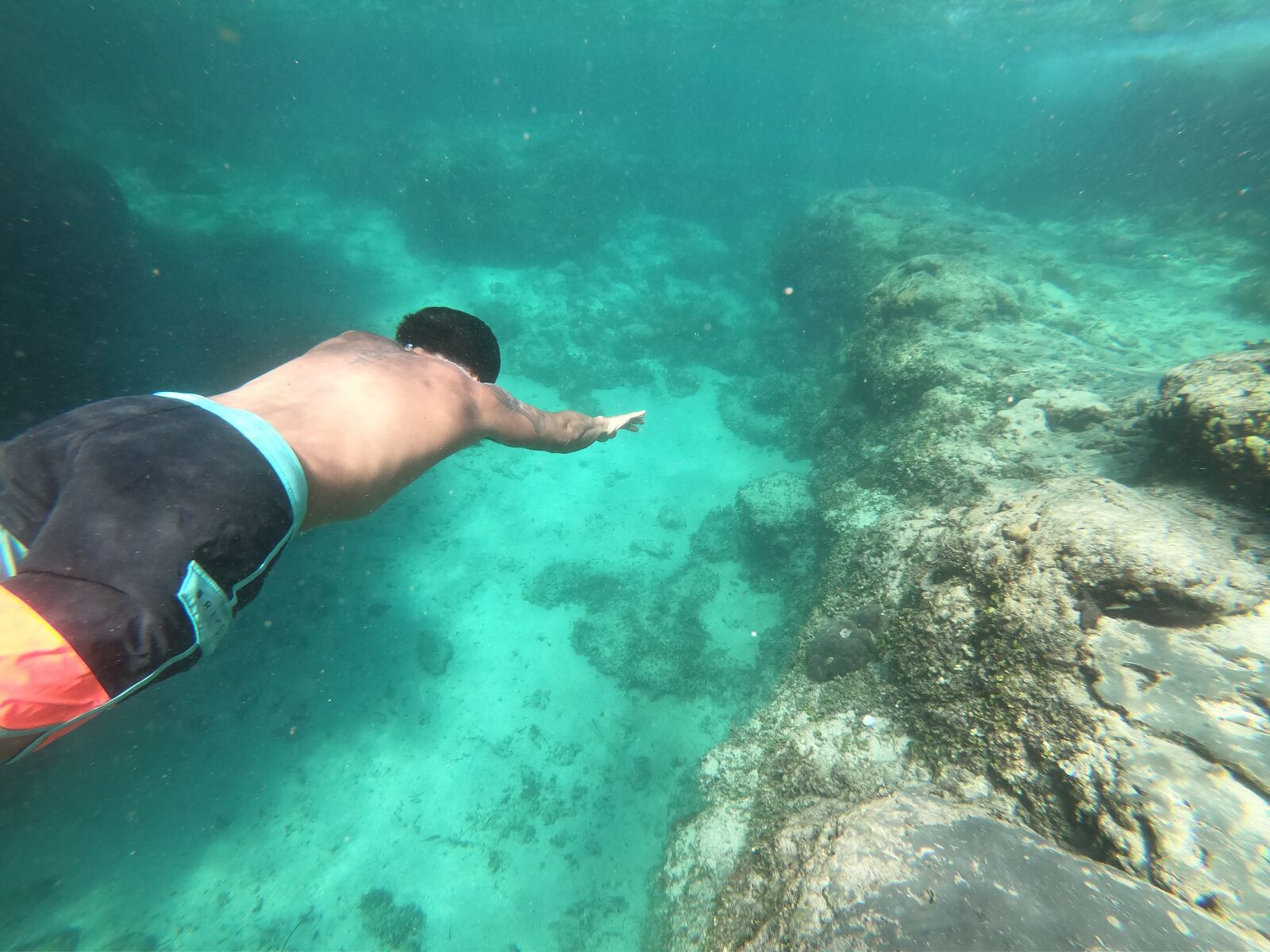 GoPro Hero7 Black sample photo. Philippines, diving, underwater photography