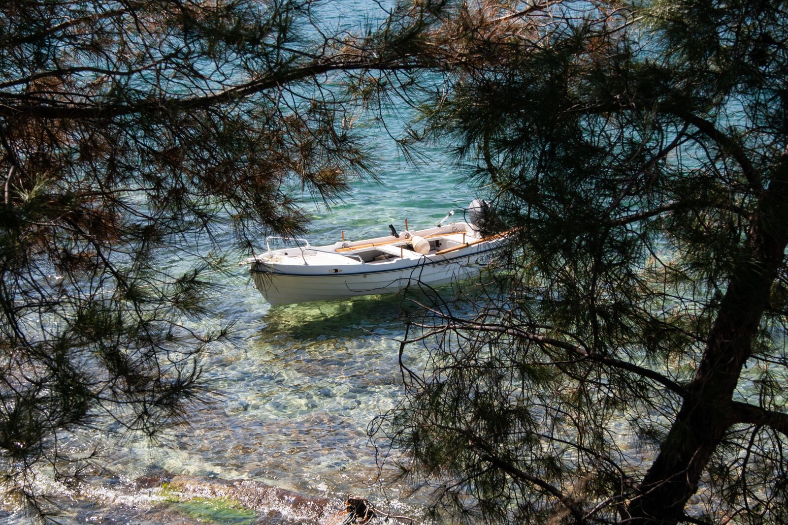 Canon EOS 1000D (EOS Digital Rebel XS / EOS Kiss F) sample photo. Sea, fishing boat, clear photography