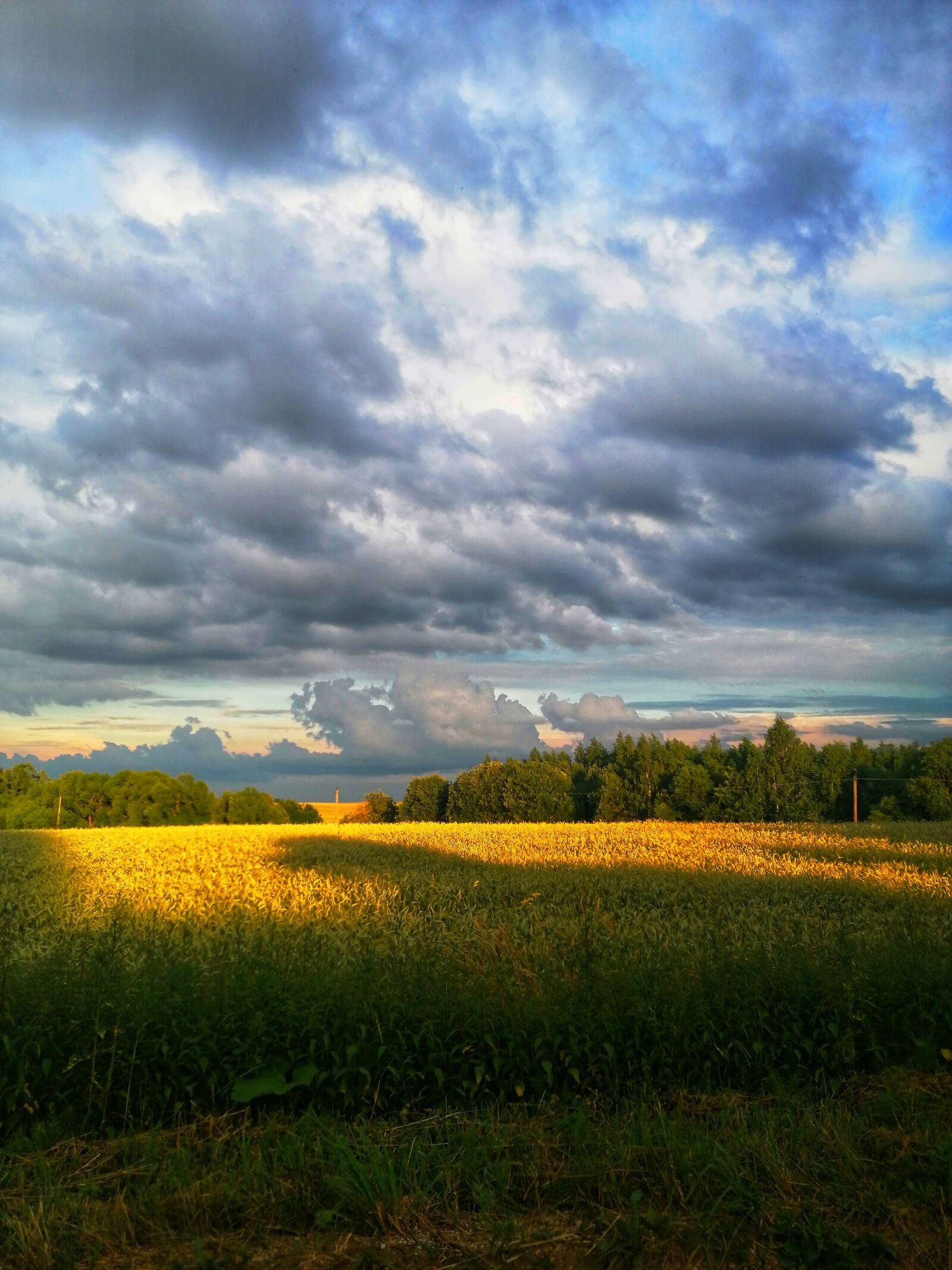 HUAWEI SNE-LX1 sample photo. Sky, clouds, field photography