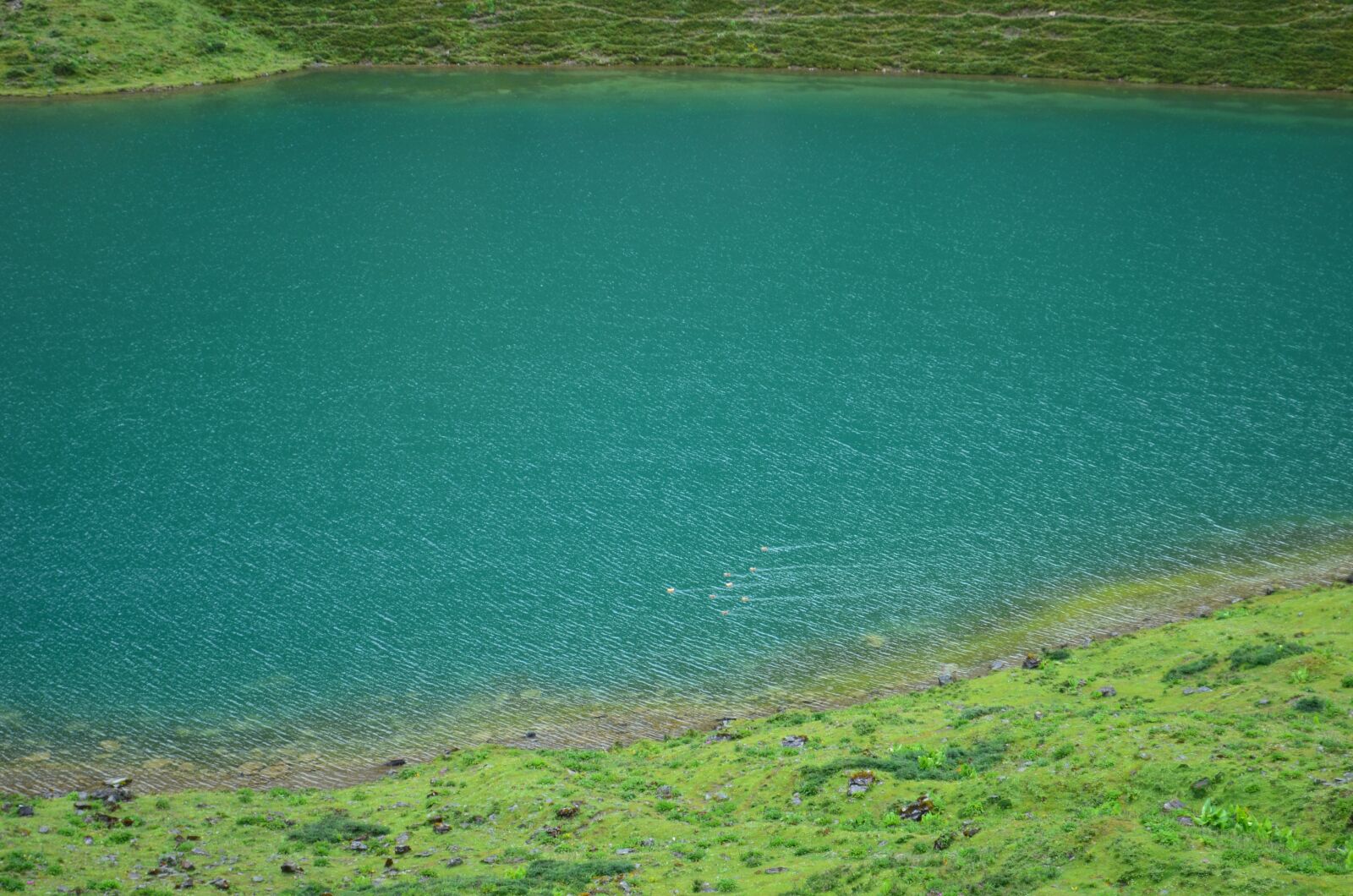Nikon D5100 sample photo. Lake, pond, water photography