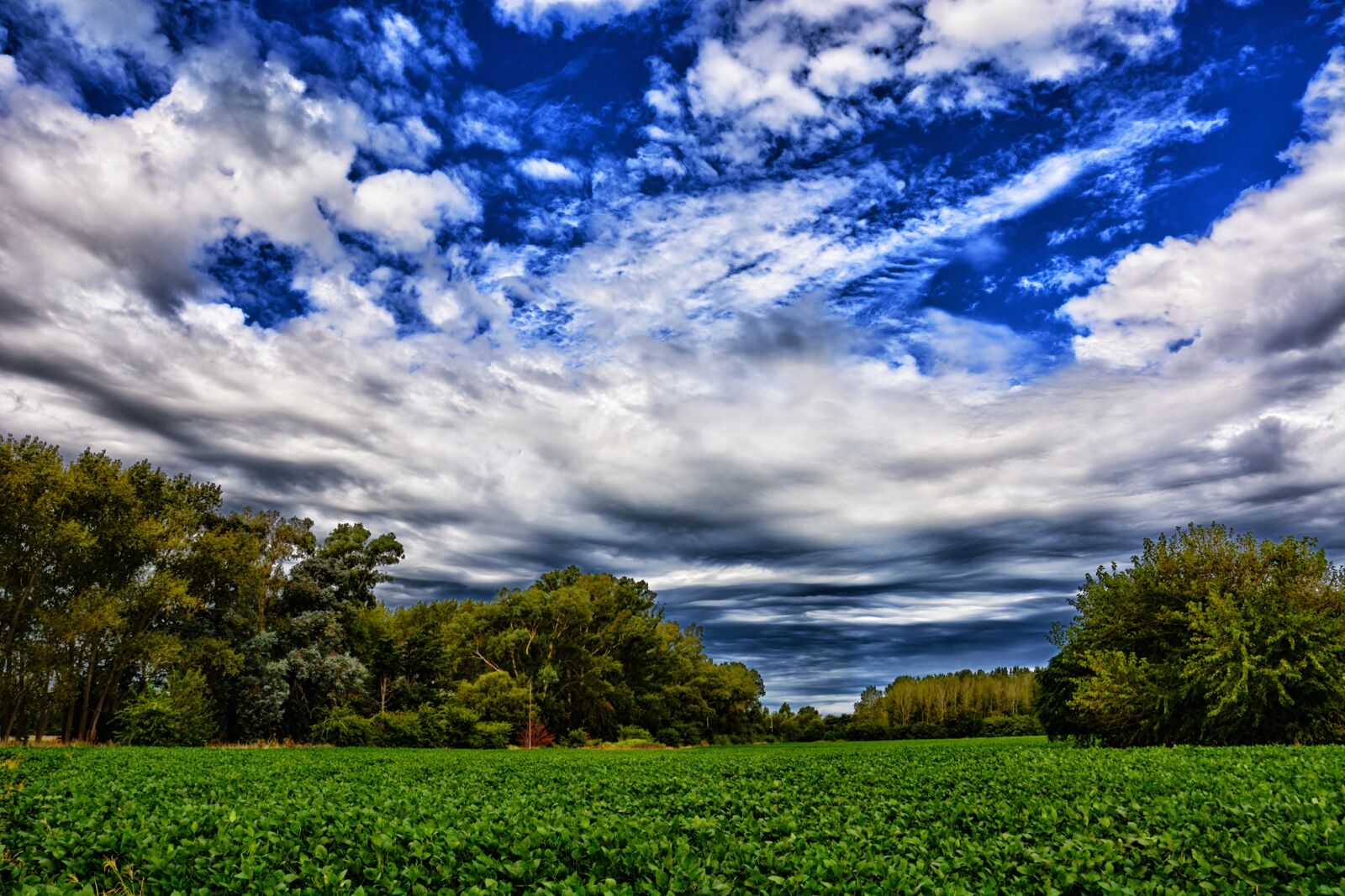 Nikon D5200 sample photo. Landscape, planting, clouds photography