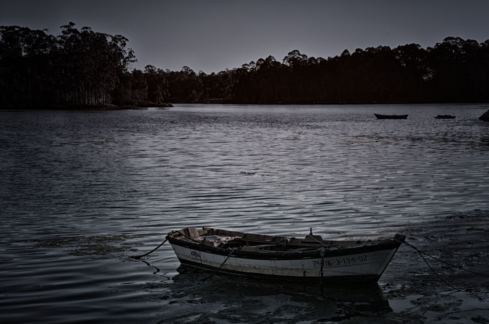Nikon D300S sample photo. Sea, night, landscape photography