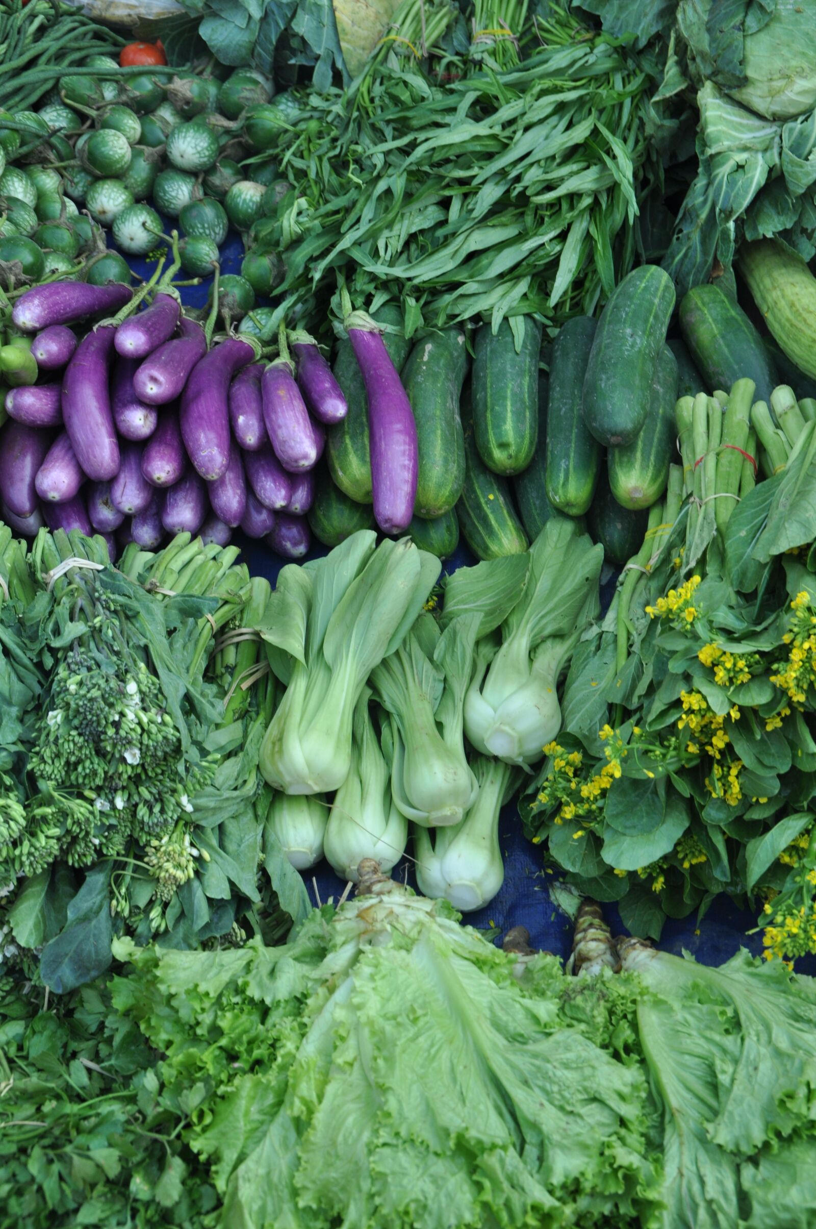 Nikon D5000 sample photo. Vegetables, eggplant, food photography