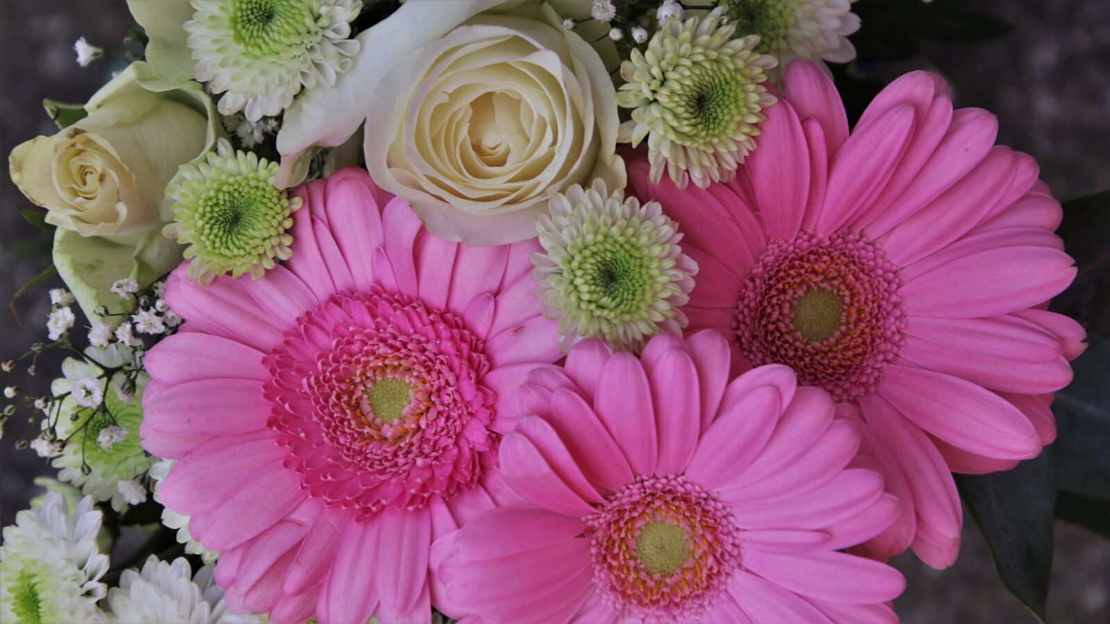 Canon EOS 80D sample photo. Bouquet, the smell of photography