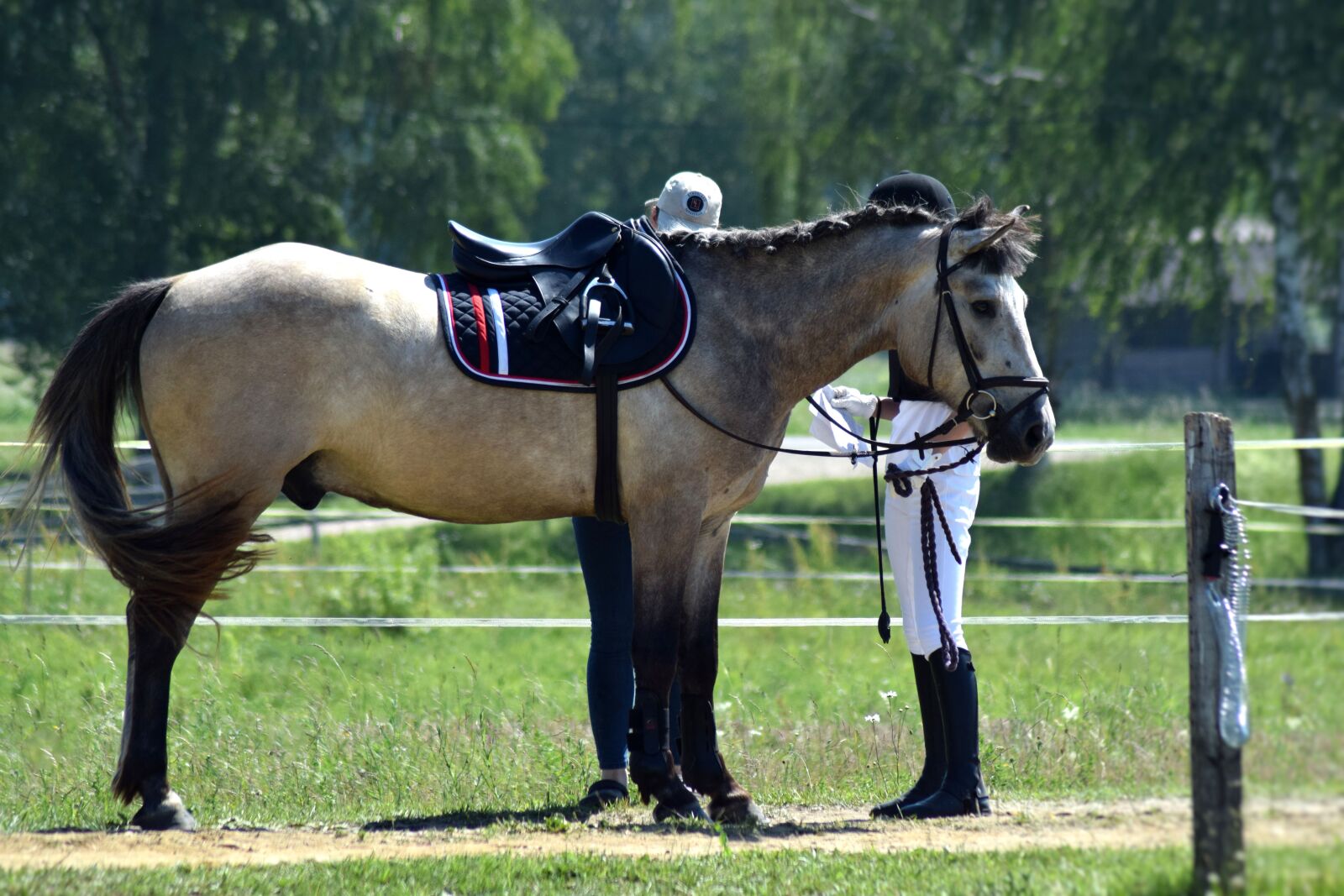 Nikon D3300 sample photo. Equestrian, horse, riding photography