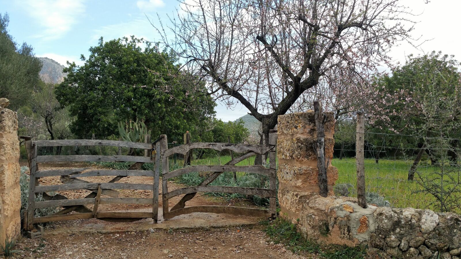 Samsung Galaxy Note4 sample photo. Mallorca, february, gate photography