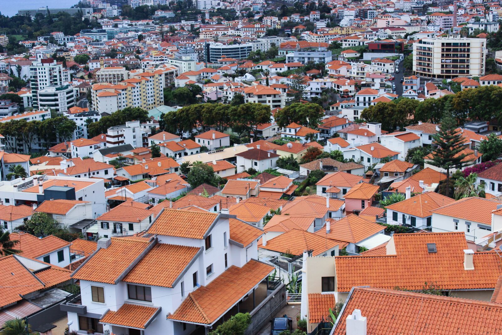 Canon EOS 600D (Rebel EOS T3i / EOS Kiss X5) sample photo. Madeira, landmark, coast photography
