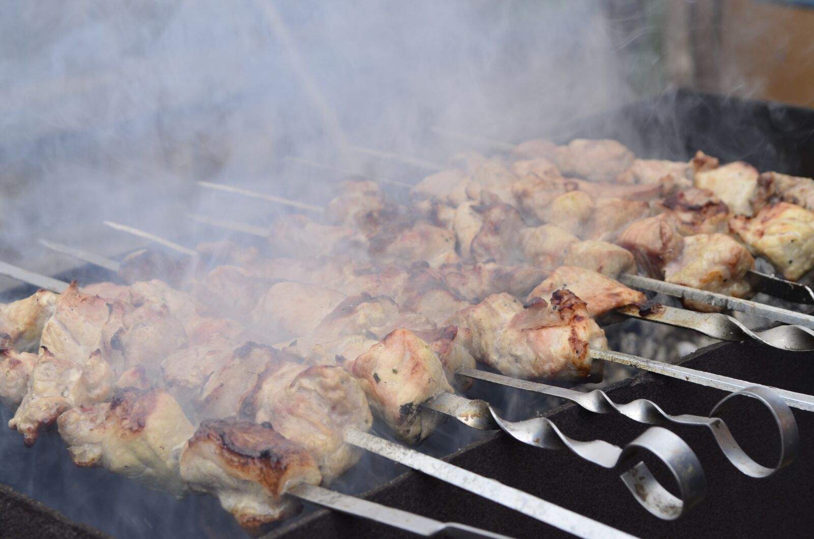 Nikon D5100 sample photo. Shish kebab, mangal, fried photography