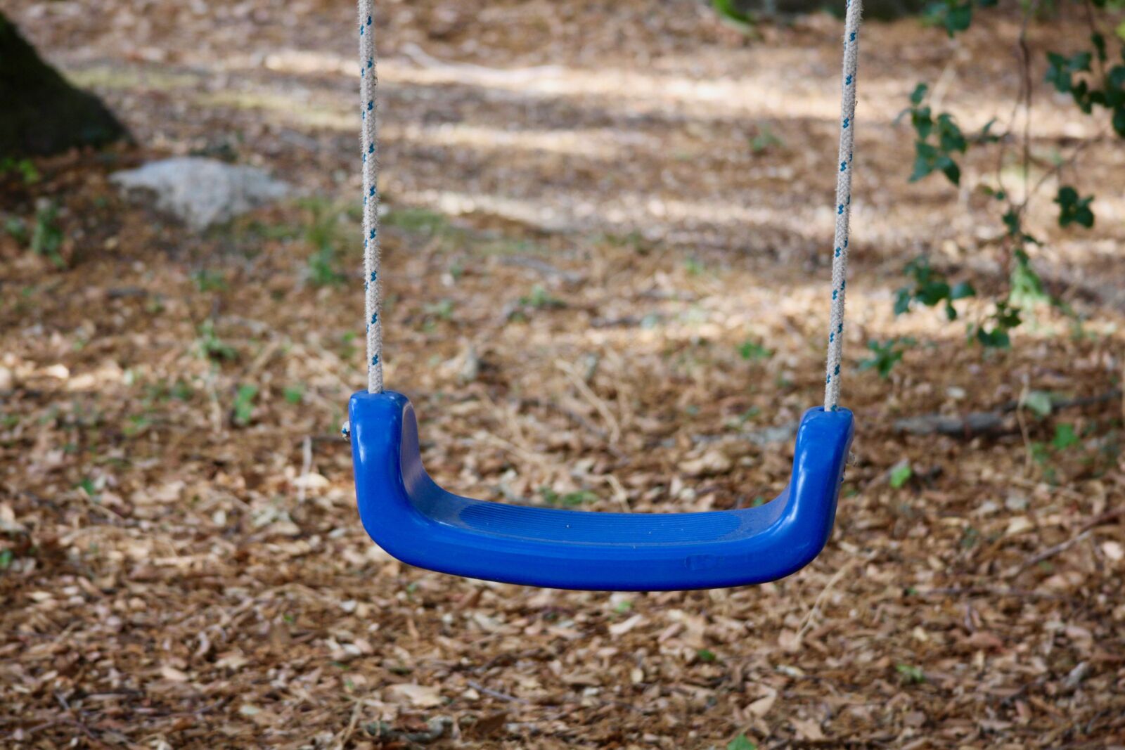 Canon EOS M sample photo. Autumn, solitude, swing photography