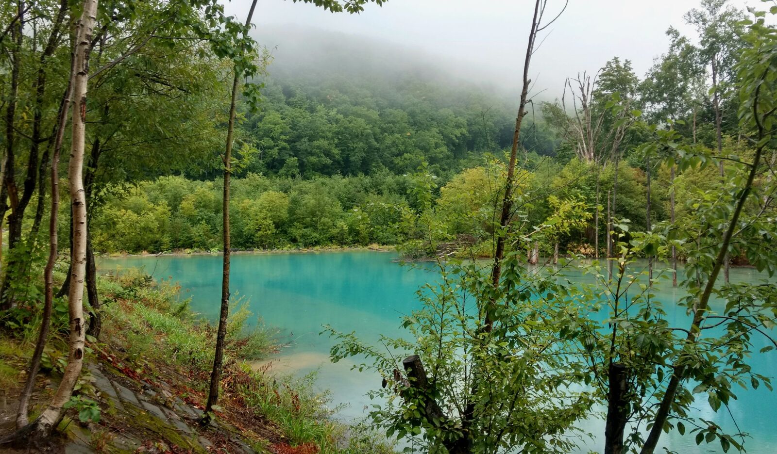 Motorola Moto G (4) sample photo. Hokkaido, blue pond, nature photography