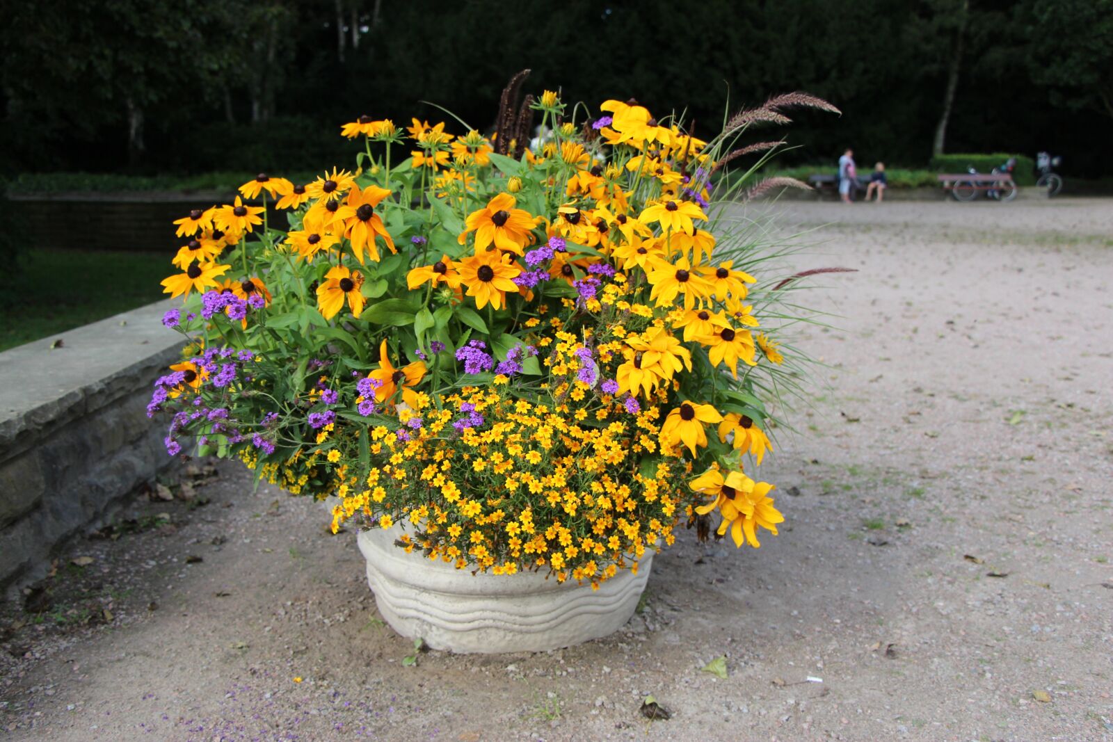 Canon EOS 650D (EOS Rebel T4i / EOS Kiss X6i) sample photo. Flowers, park, spring photography
