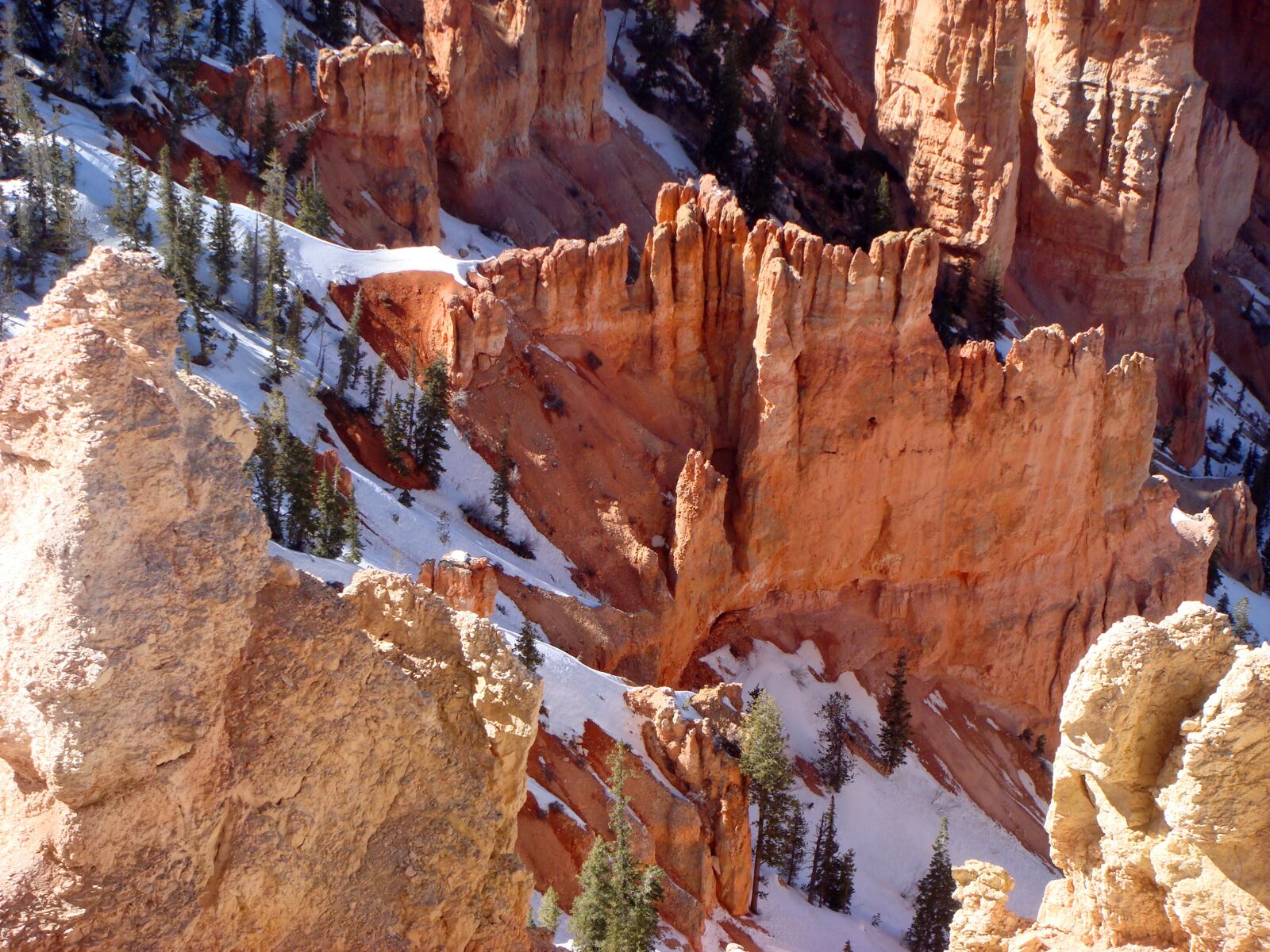 Sony DSC-T100 sample photo. Bryce canyon national park photography