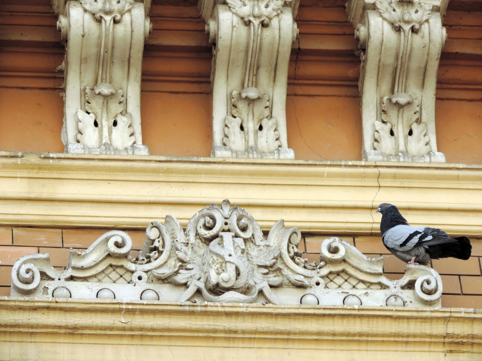 Nikon Coolpix P520 sample photo. Baroque, exterior, facade, pigeon photography
