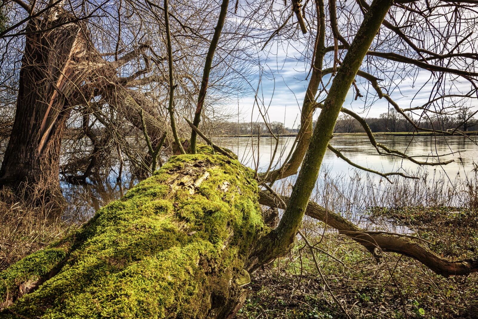 Nikon D7200 sample photo. Elbe, elbufer, river photography