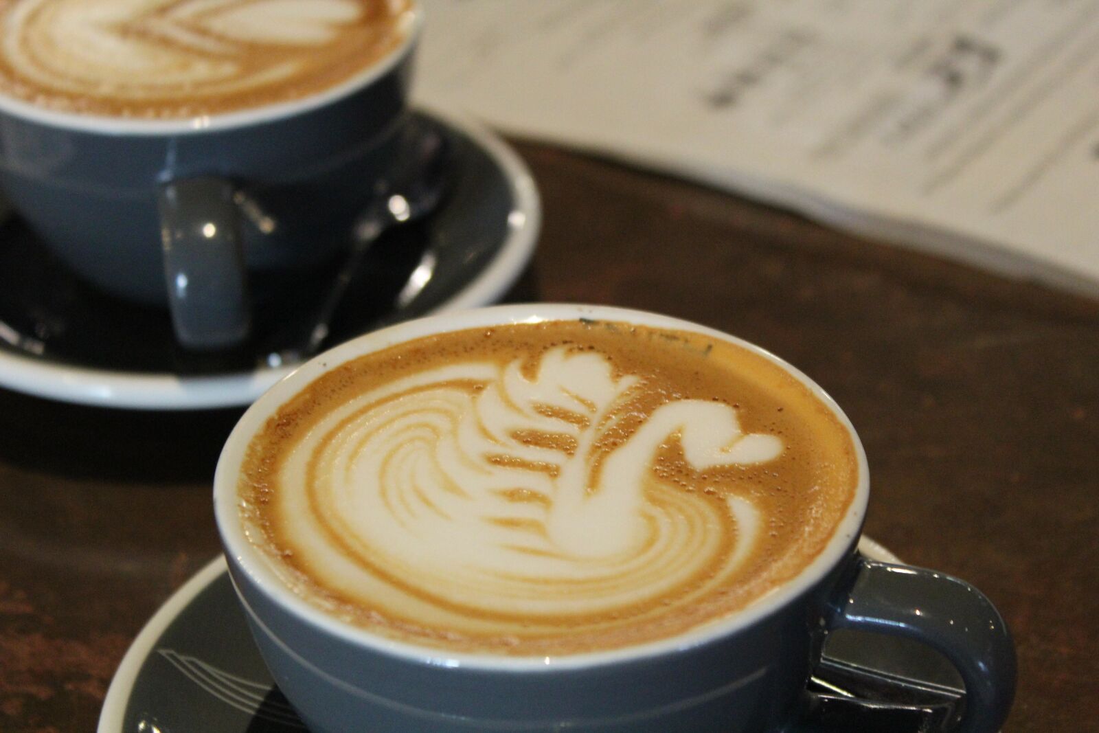 Canon EOS 1200D (EOS Rebel T5 / EOS Kiss X70 / EOS Hi) sample photo. Coffee, swan, cap photography