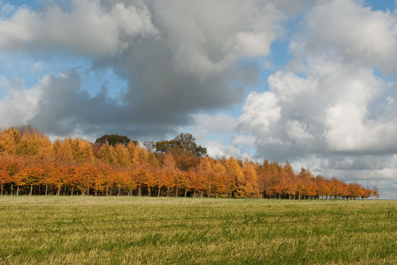 Nikon D80 sample photo. Fall, landscape, nature photography