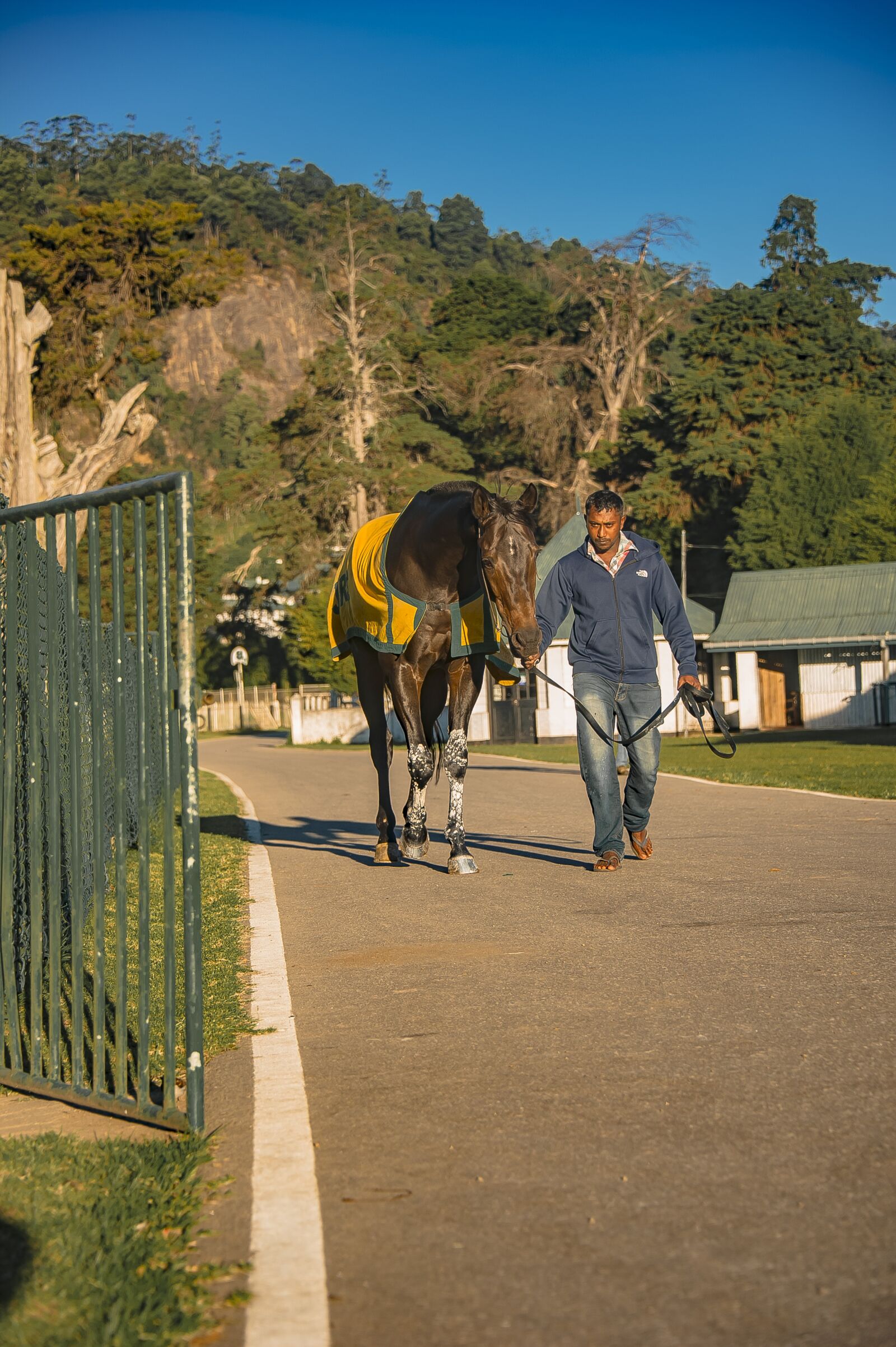 Nikon D3S sample photo. Horse, equestrian, farm photography