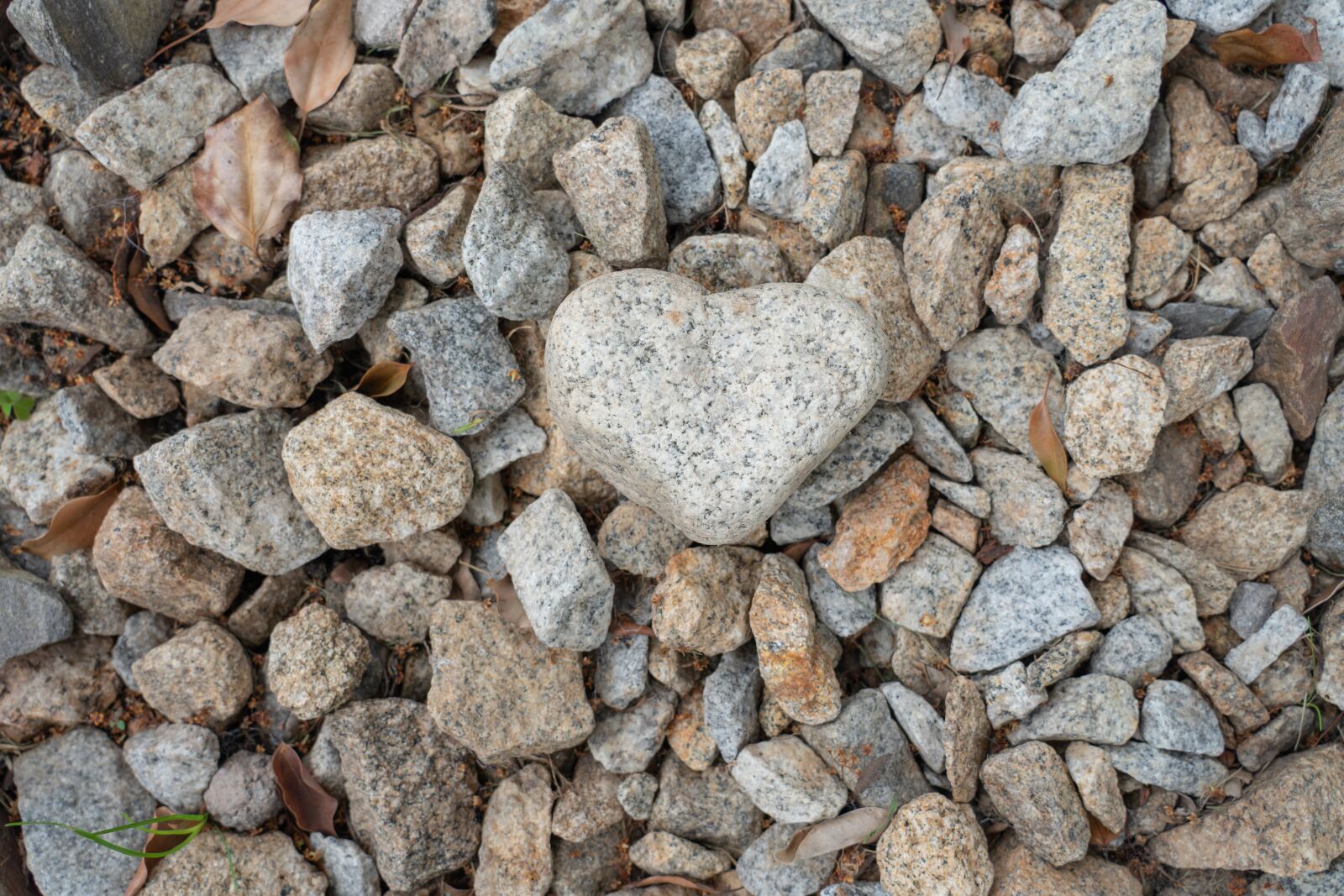 Sony a9 sample photo. Love, rocks, heart photography