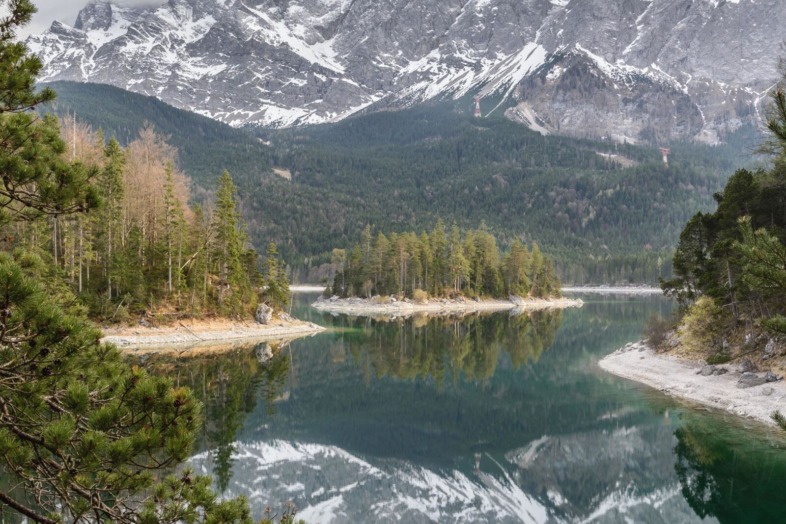 Nikon D610 sample photo. Trees, valley, water, wood photography