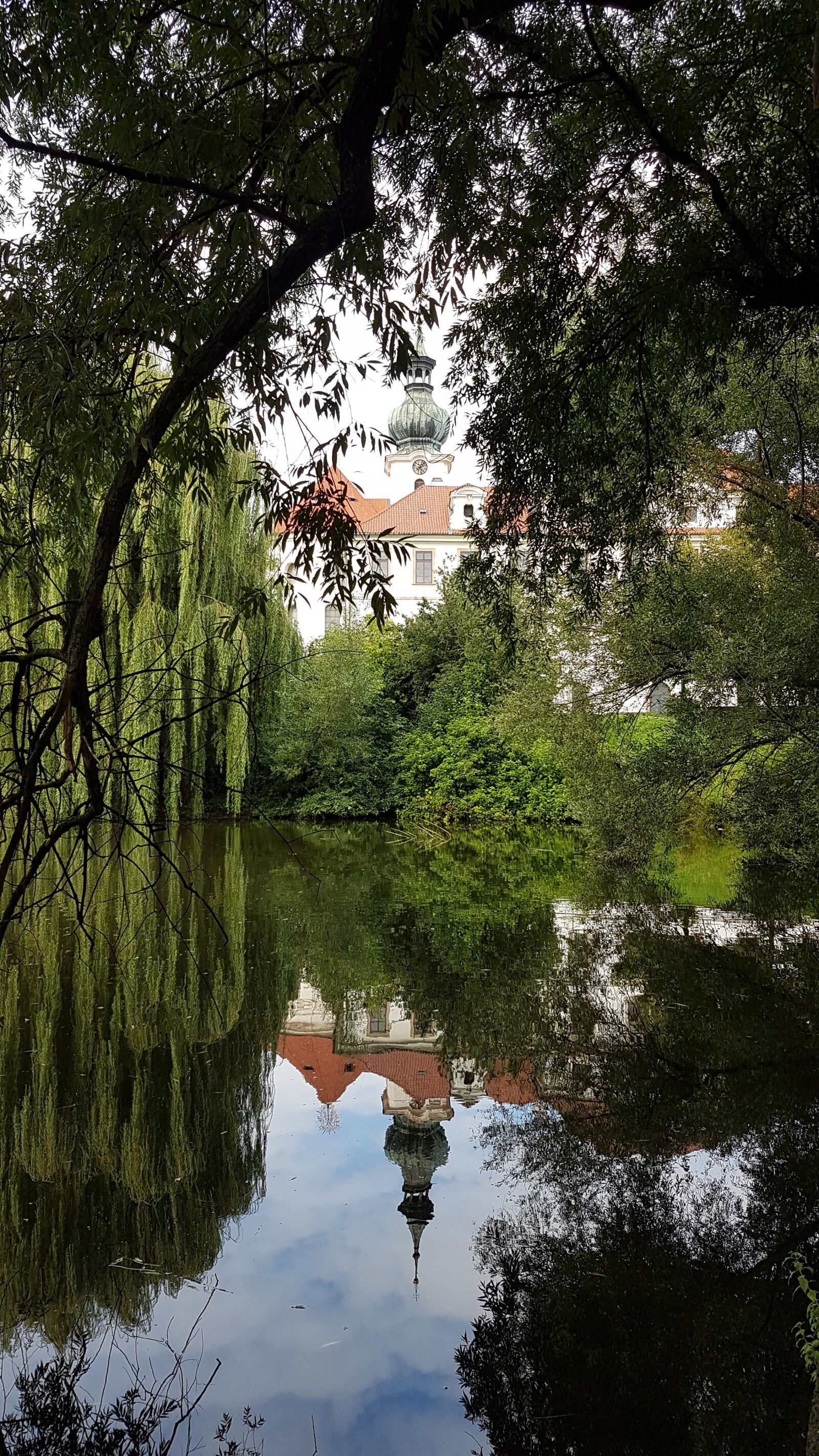 Samsung Galaxy S7 sample photo. Lake, reflection, willow photography