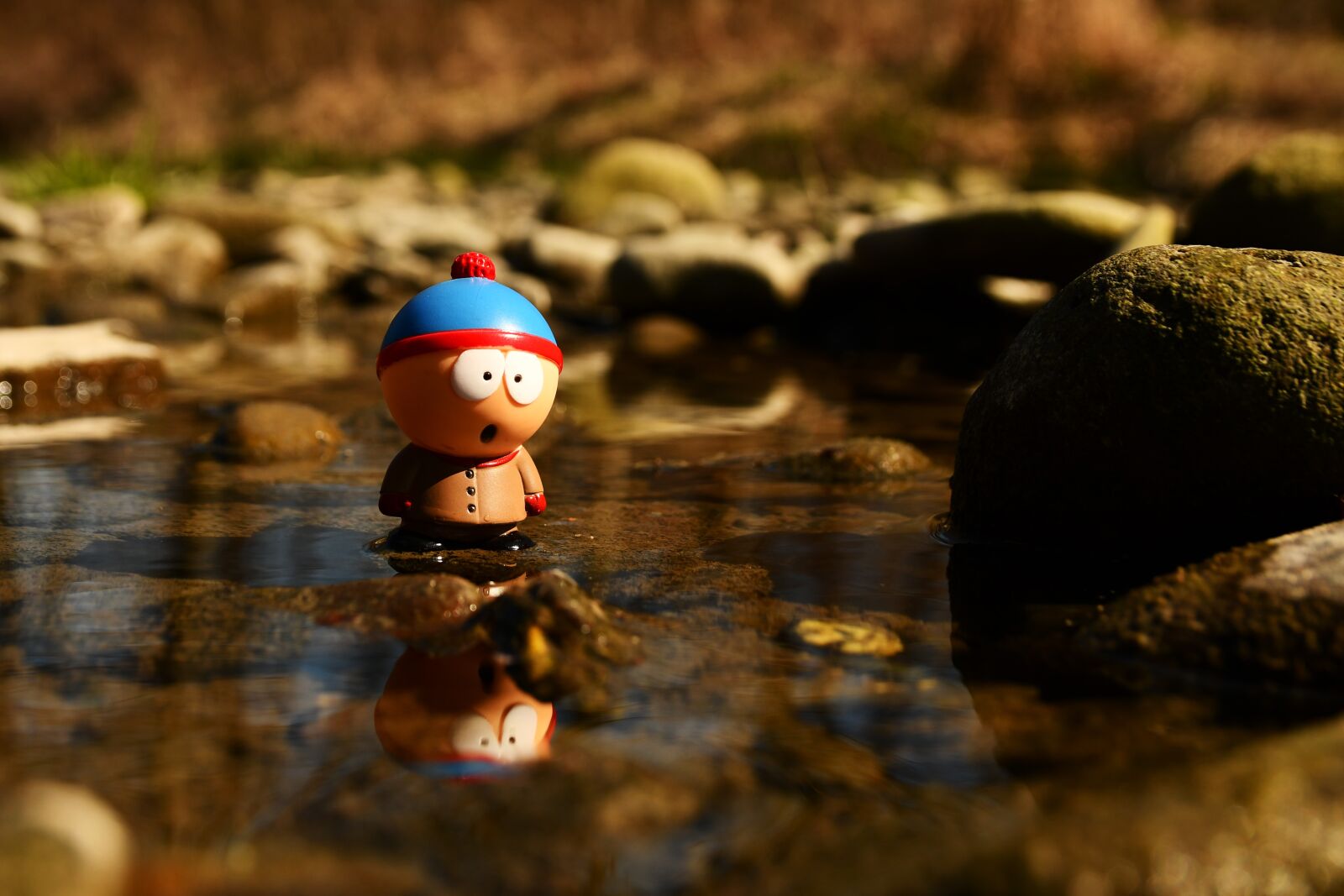 Nikon D7500 sample photo. Southpark, toys, stones photography