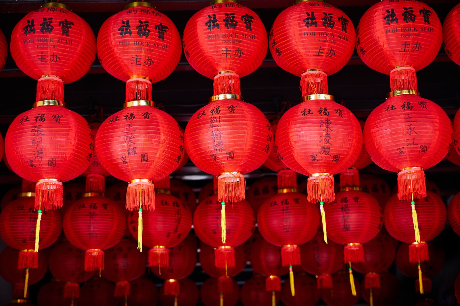 Sony a7R II sample photo. Chinese, red, lamp photography
