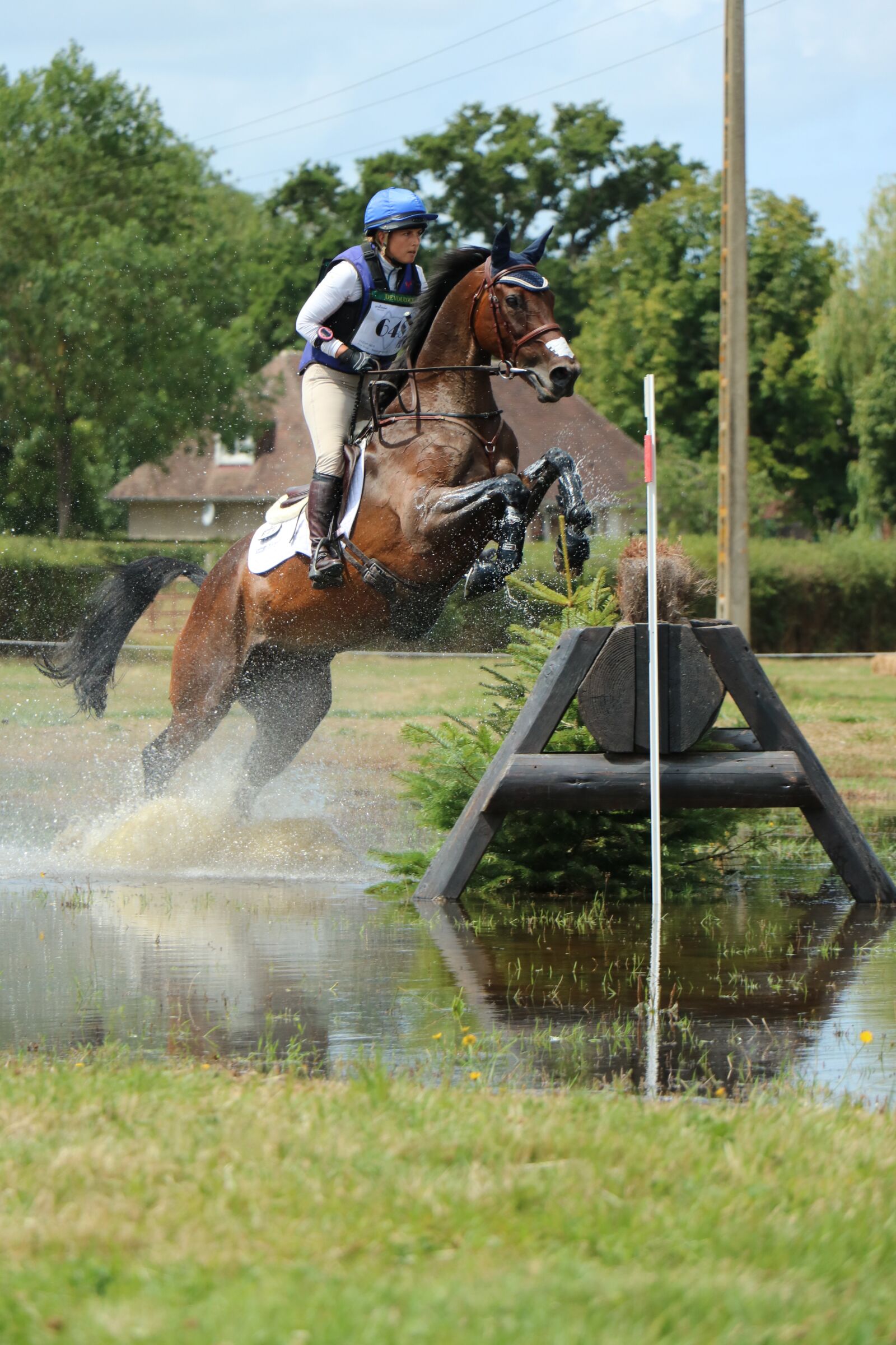 Canon EOS 750D (EOS Rebel T6i / EOS Kiss X8i) sample photo. Haras du pin, national photography