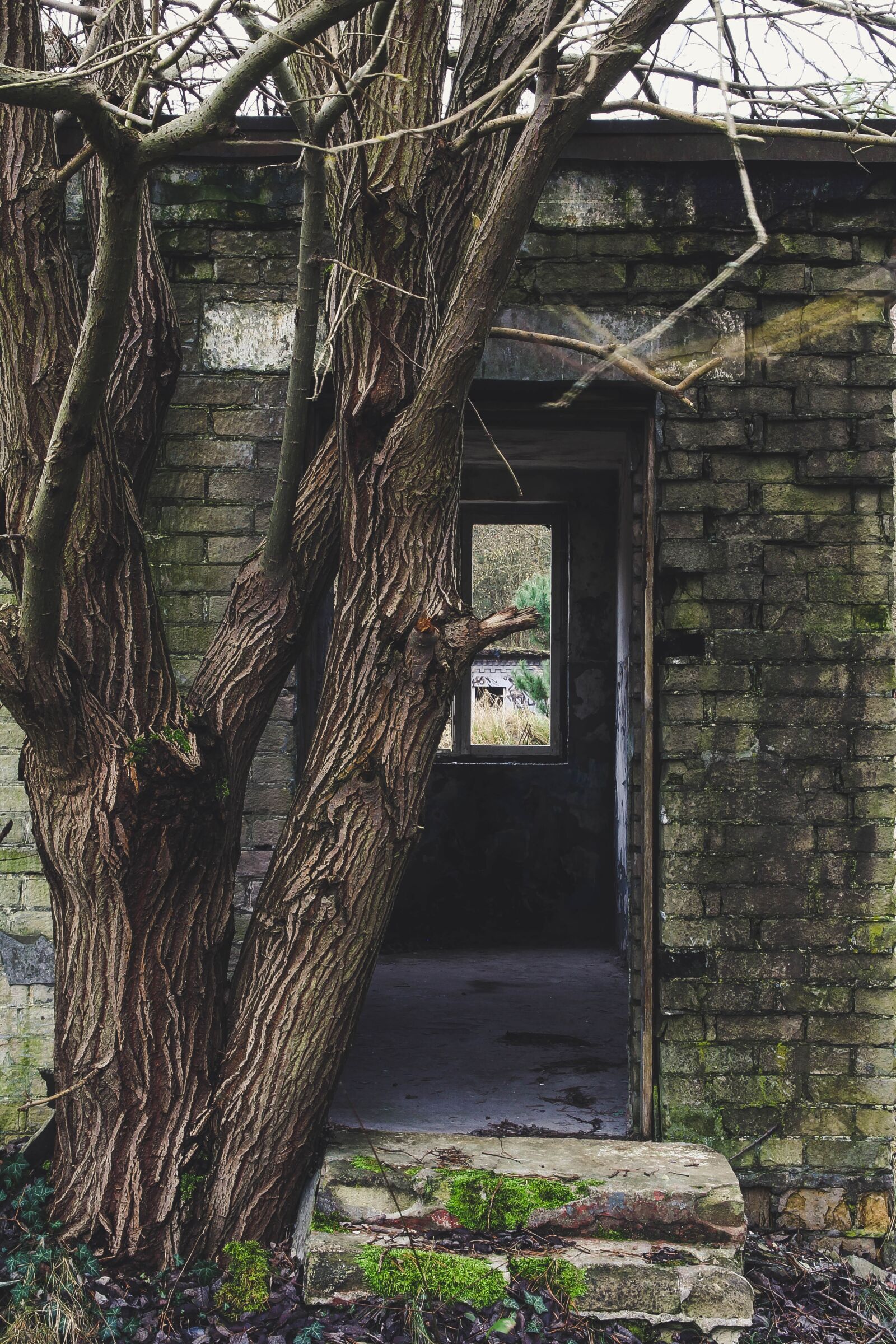 Canon EOS 60D sample photo. Ruin, old, abandoned photography