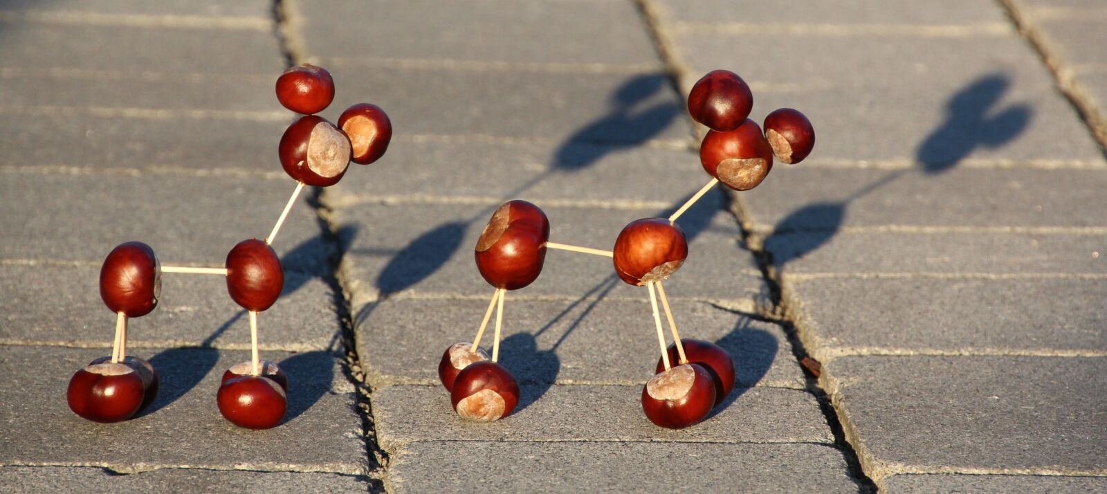 Canon EOS 1200D (EOS Rebel T5 / EOS Kiss X70 / EOS Hi) sample photo. Chestnut animal, chestnut, toothpick photography
