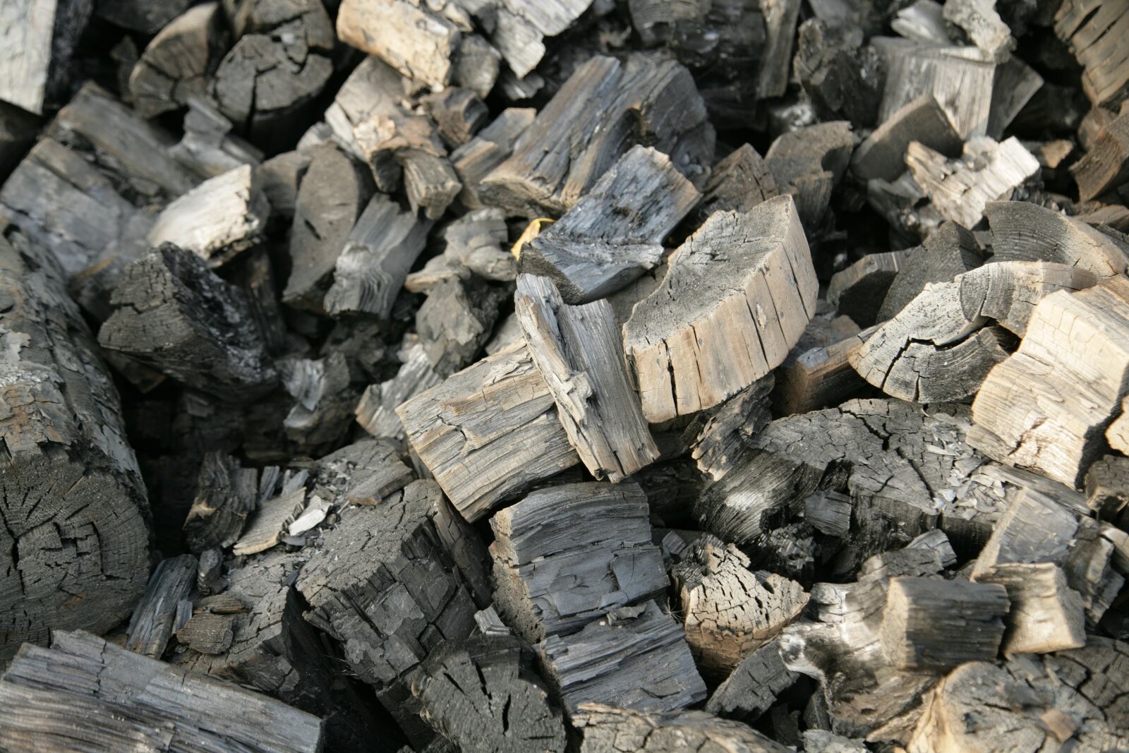 Canon EOS-1Ds Mark II sample photo. Coal, firewood, black photography