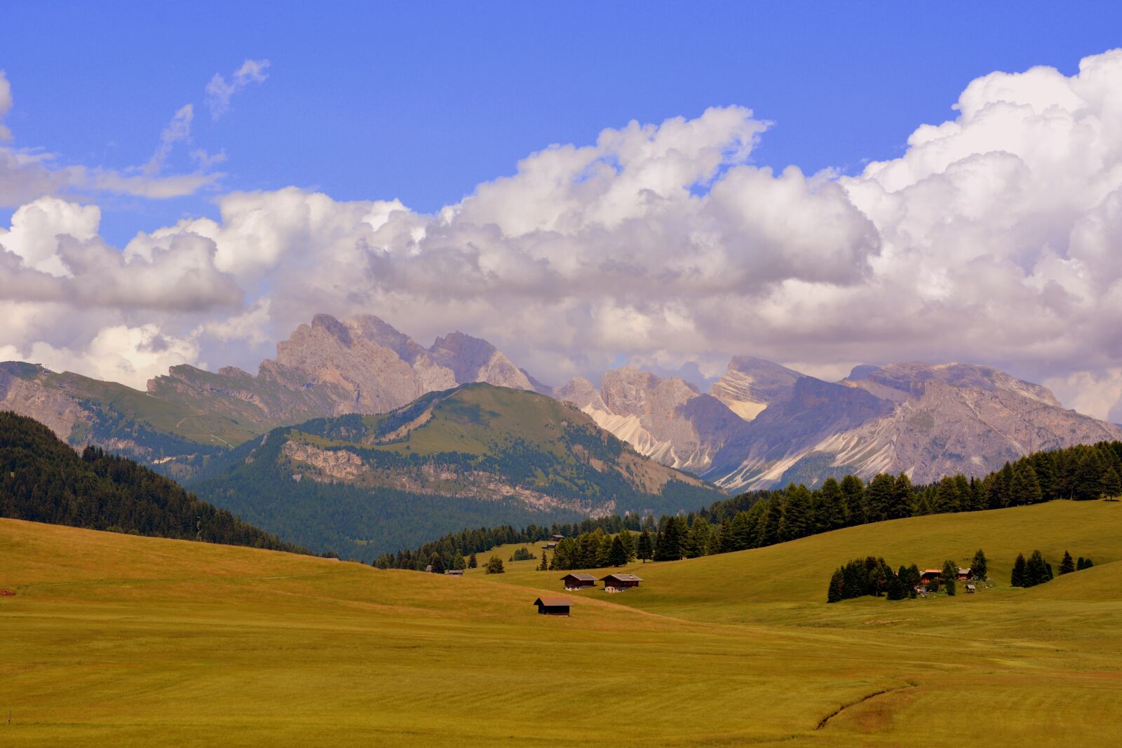 Nikon D7100 sample photo. Prato, prairie, dolomites photography
