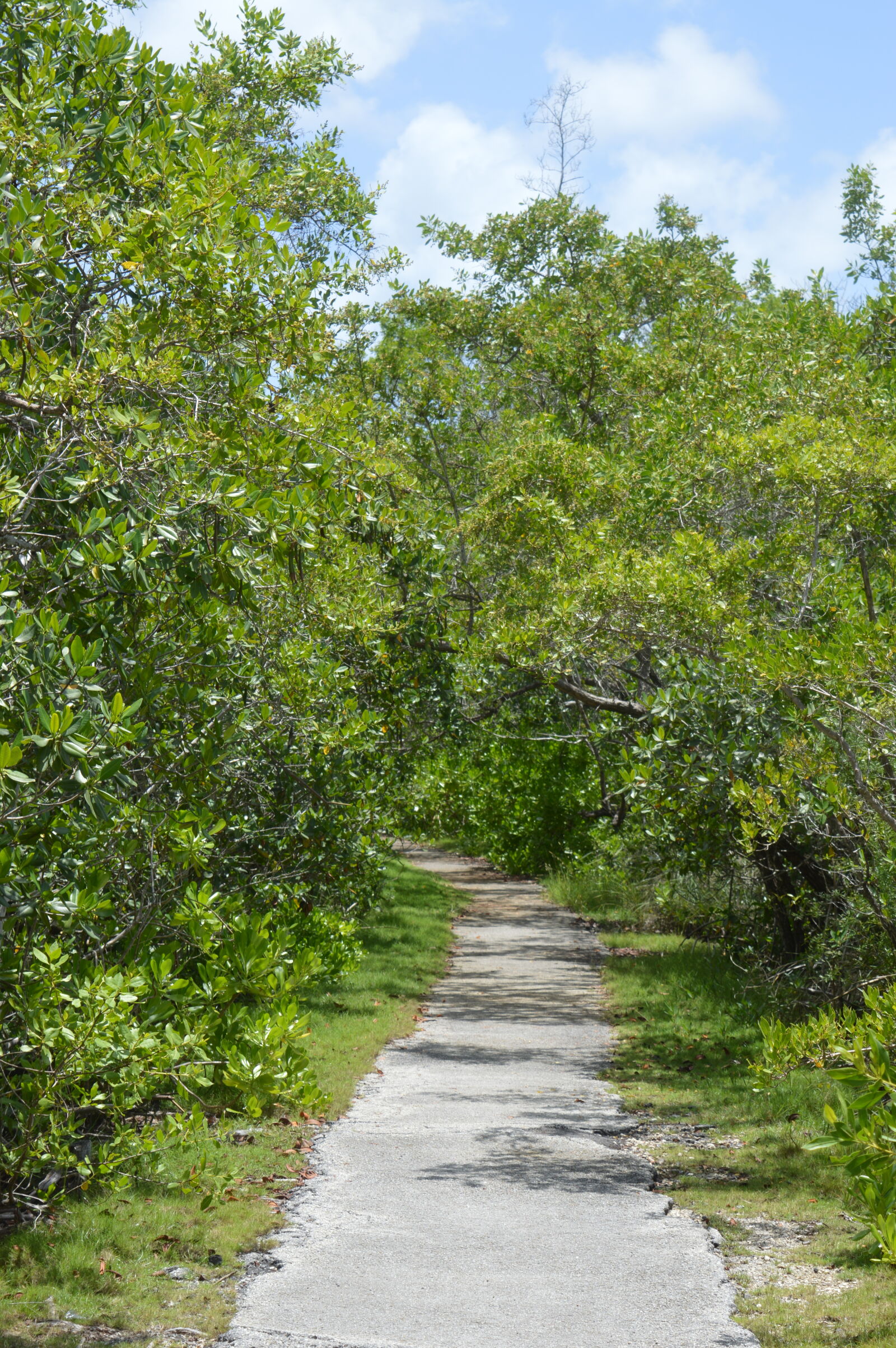 Nikon D3200 sample photo. Blue, sky, miami, nature photography