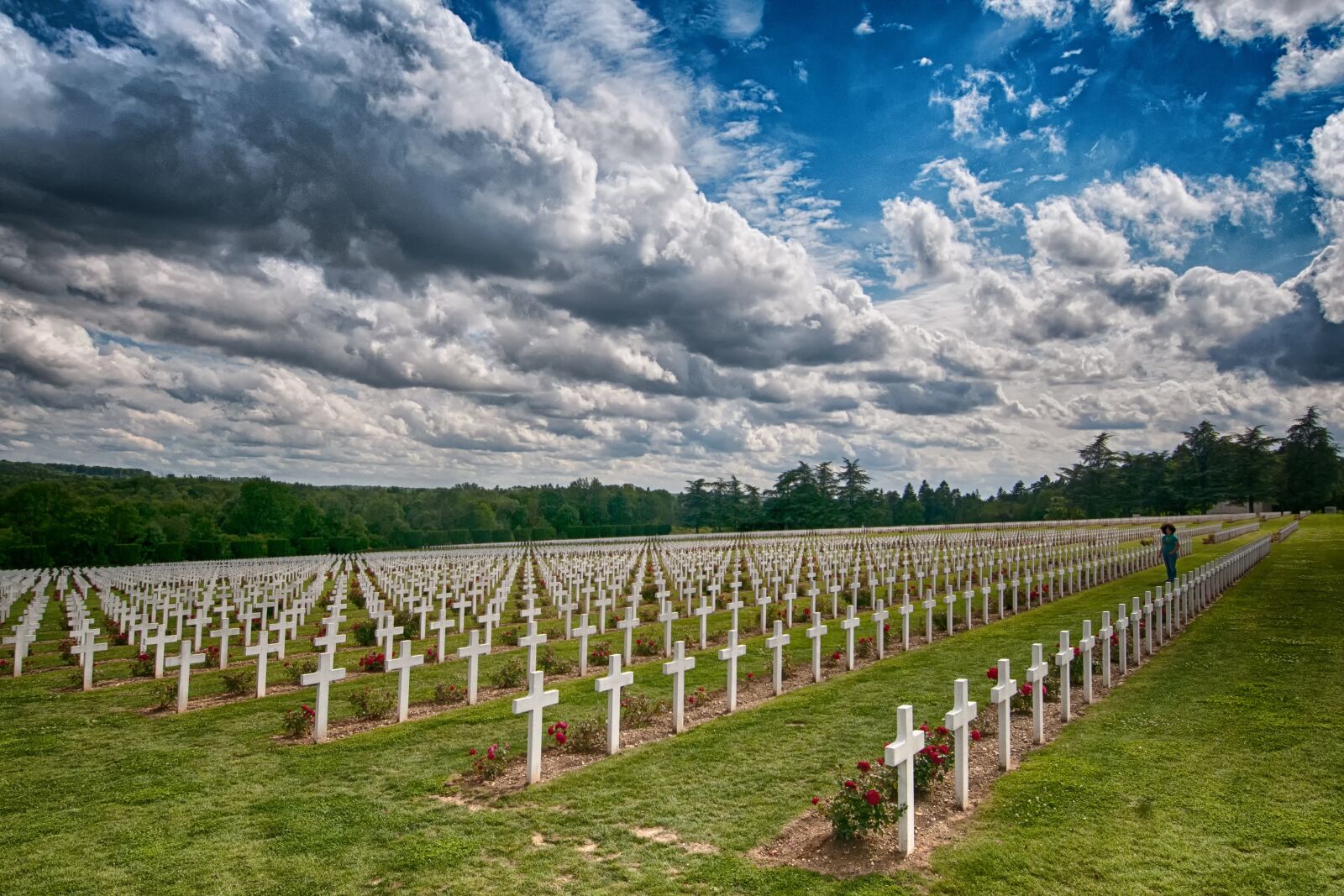 Nikon D300S sample photo. Graves, douaumont, verdun photography
