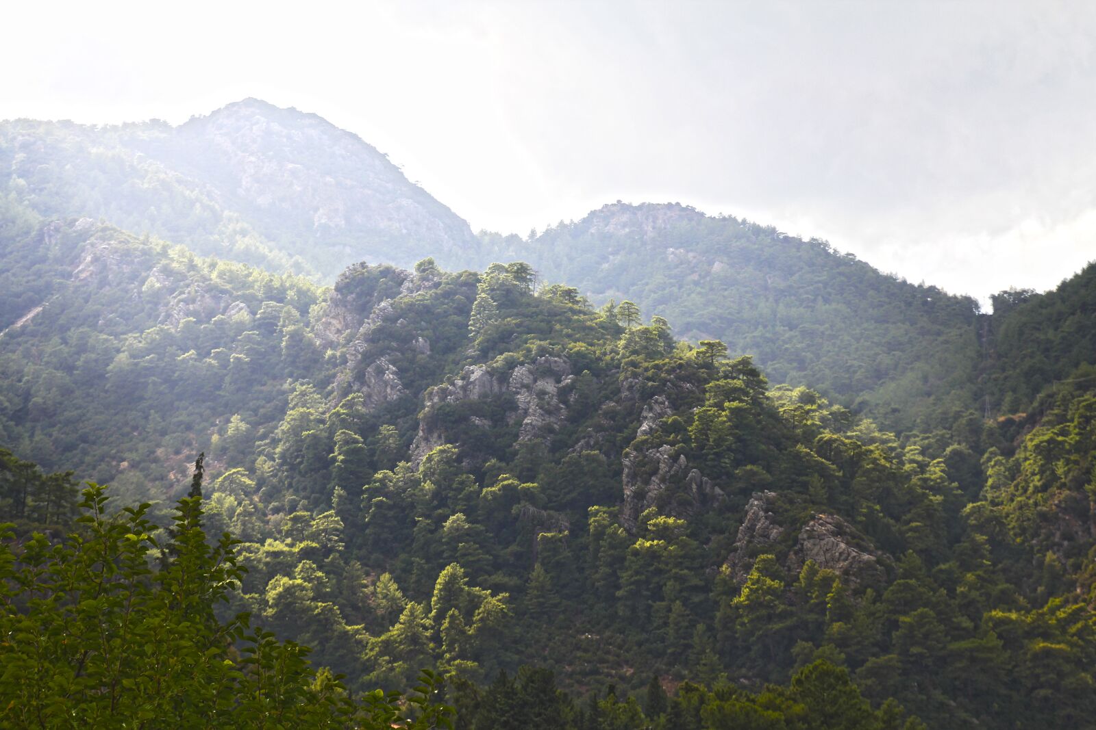 Canon EOS 60D sample photo. Landscape, mountain, tree photography
