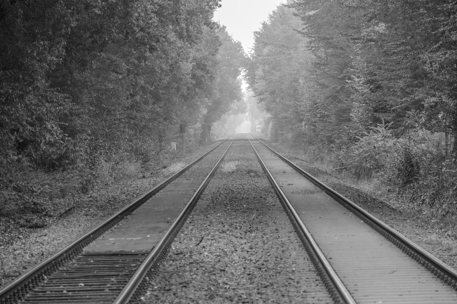 Panasonic Lumix DMC-FZ1000 sample photo. Railroad tracks, railway, rails photography