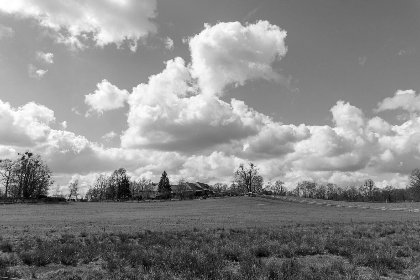 Sony SLT-A58 sample photo. Black and white, landscape photography
