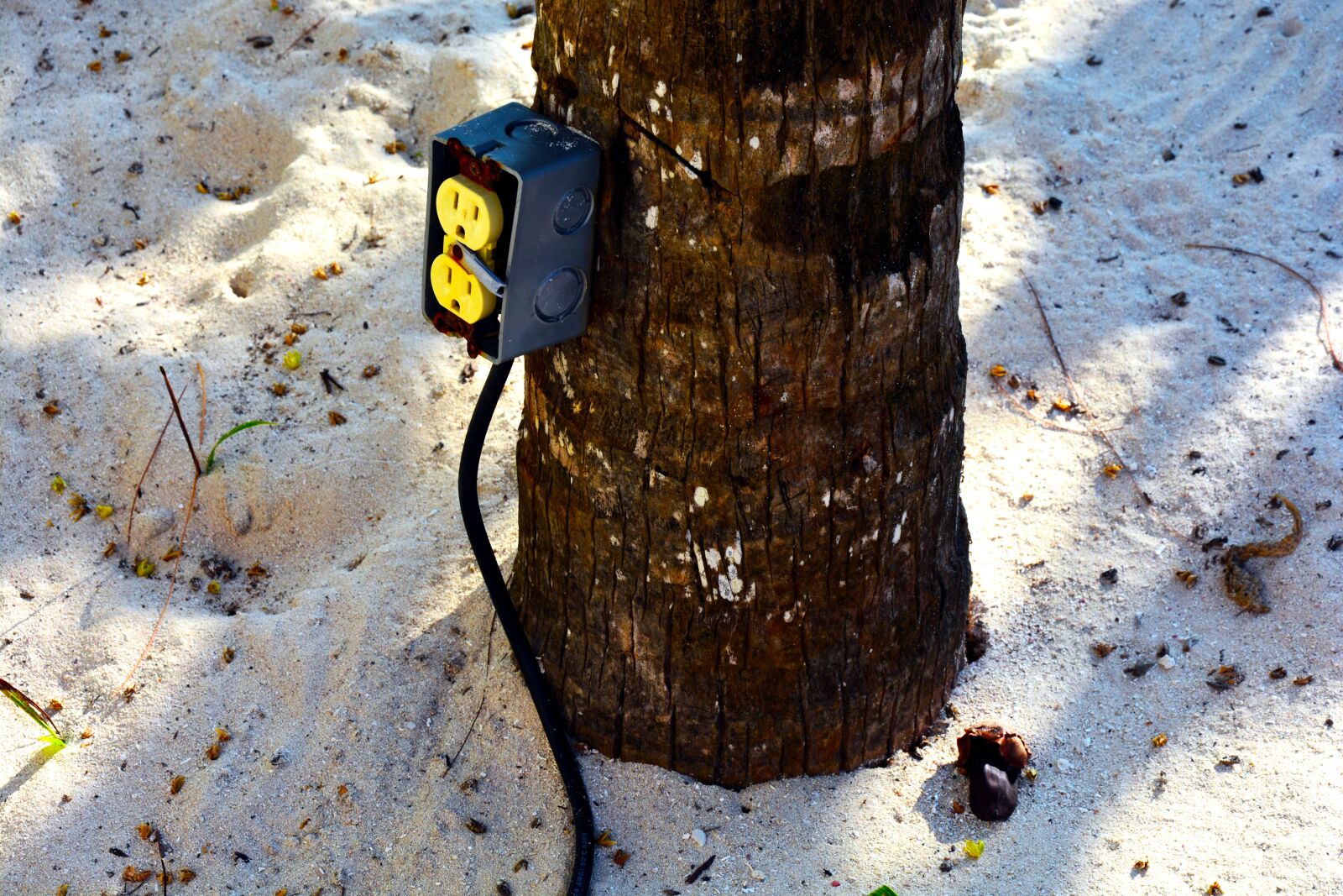 Nikon D7100 sample photo. Electricity, sand, ocean photography