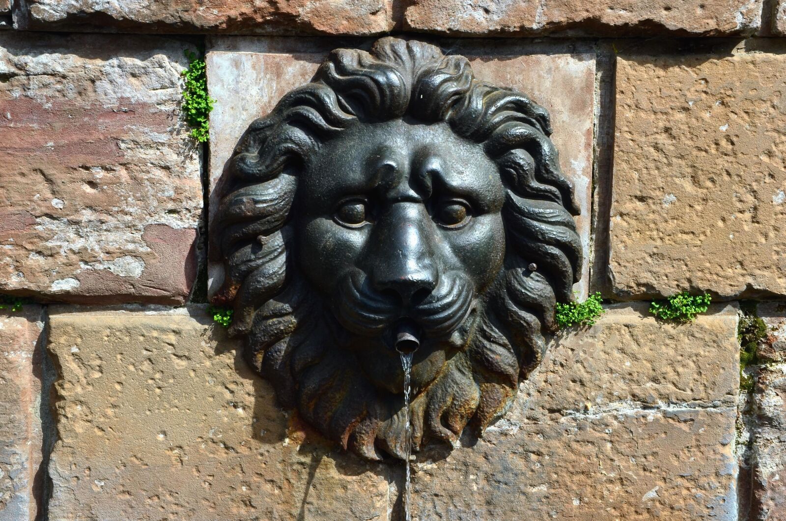 Nikon D5100 sample photo. Fountain, water, lion, architecture photography
