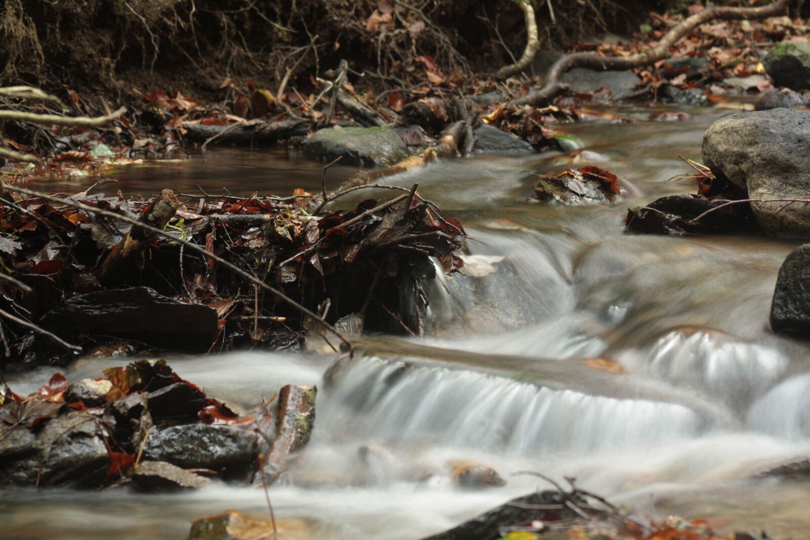 Canon EOS 1000D (EOS Digital Rebel XS / EOS Kiss F) sample photo. Water, solace, outdoor photography