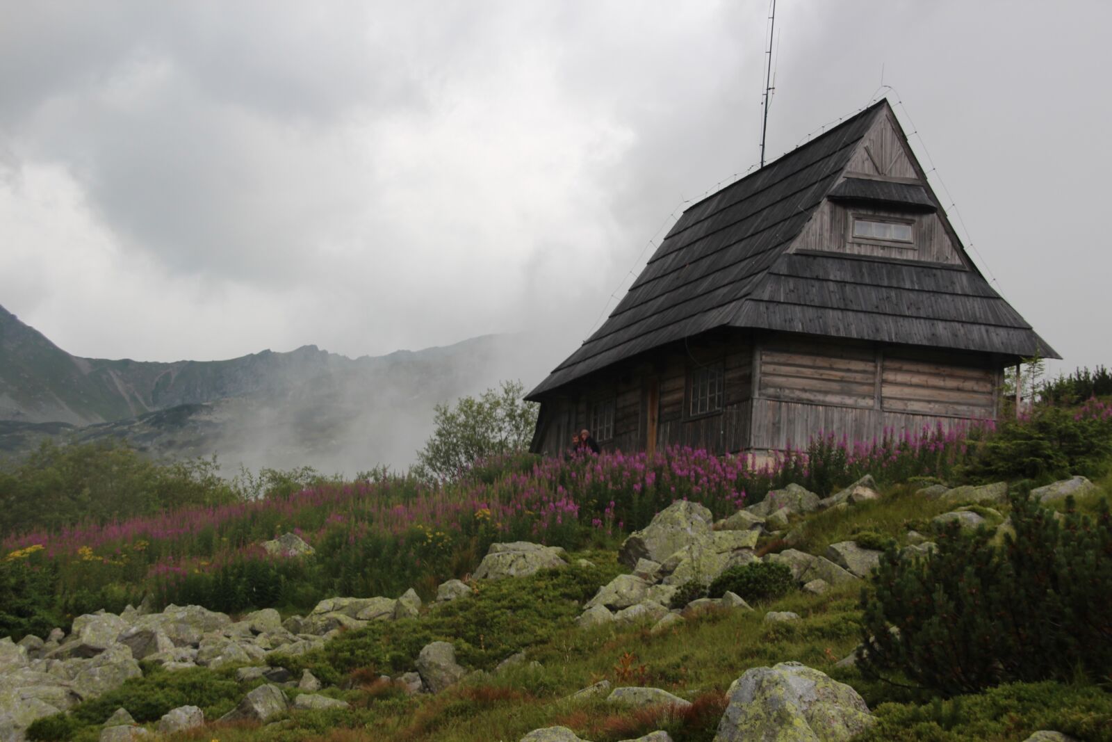 Canon EOS 600D (Rebel EOS T3i / EOS Kiss X5) sample photo. The fog, tatry, mountains photography