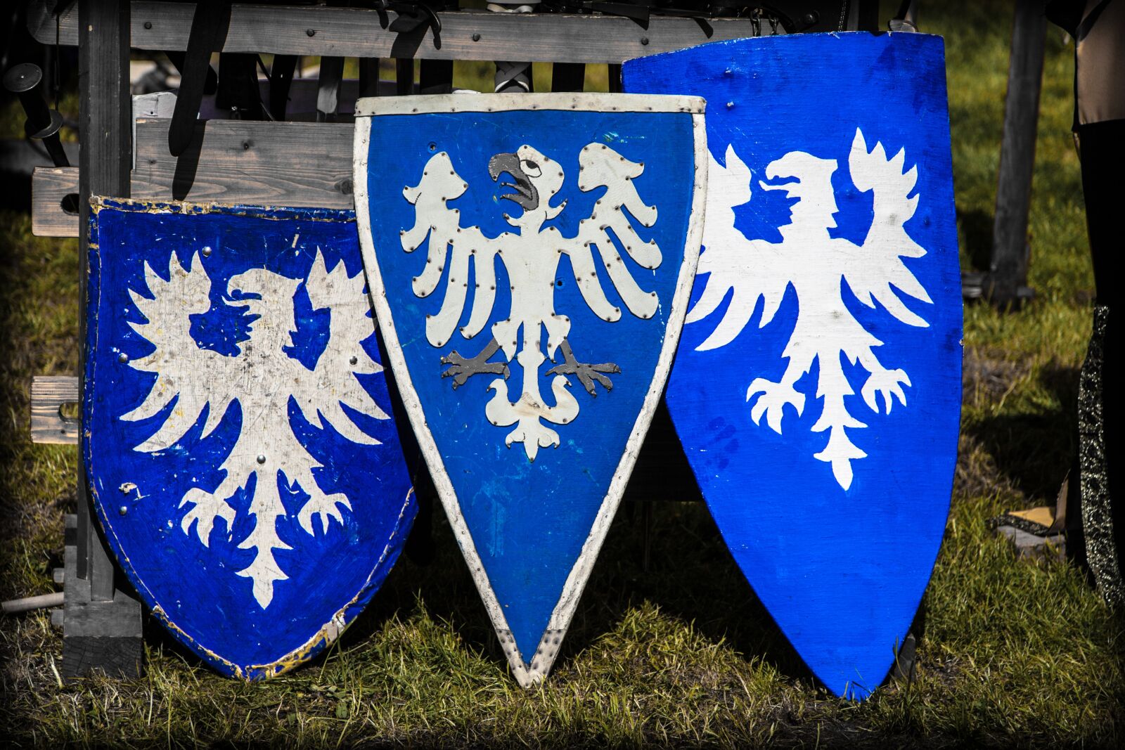 Canon EOS 5D Mark II sample photo. Shield, coat of arms photography