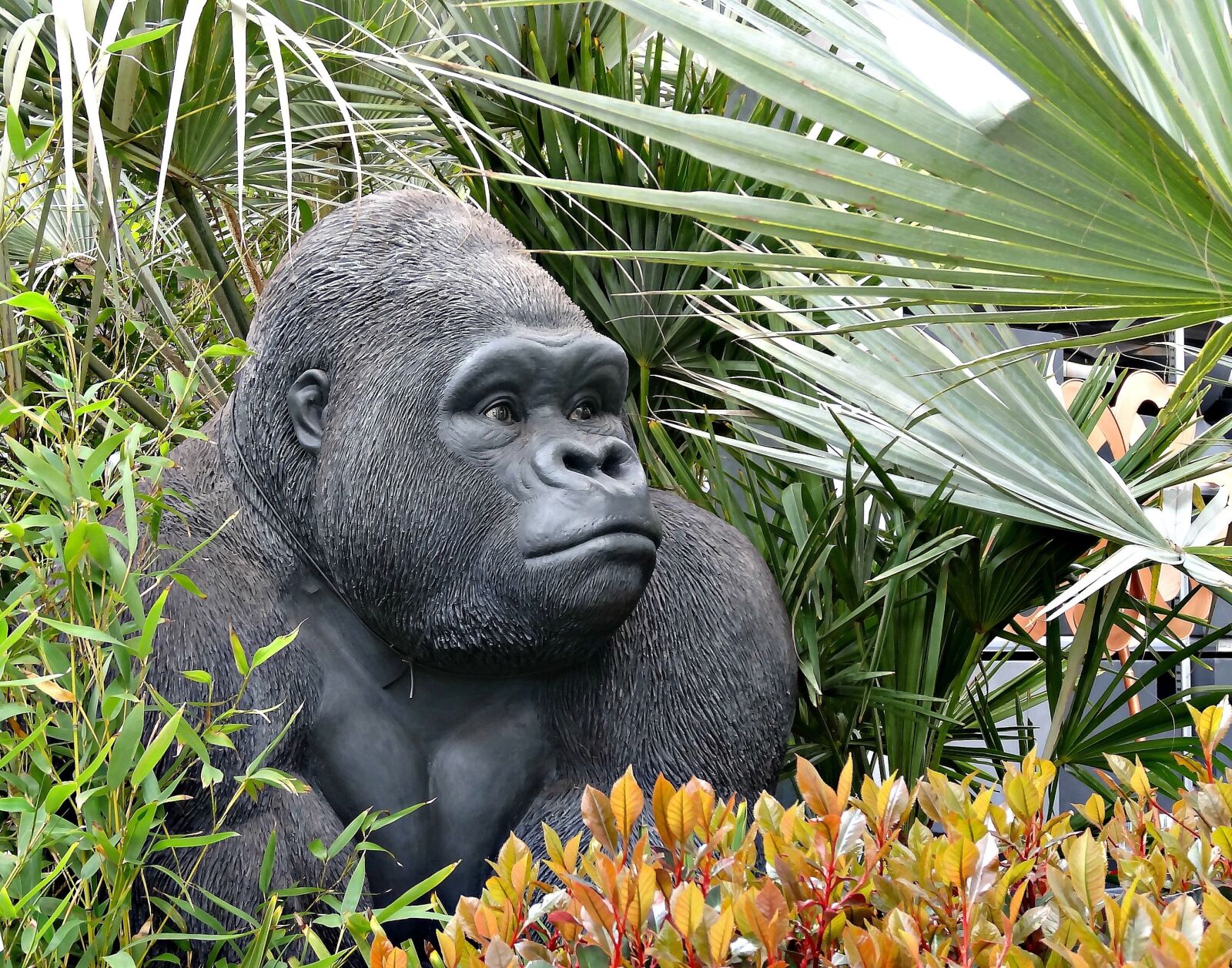 Sony Cyber-shot DSC-HX20V sample photo. Animal, gorilla, fake photography