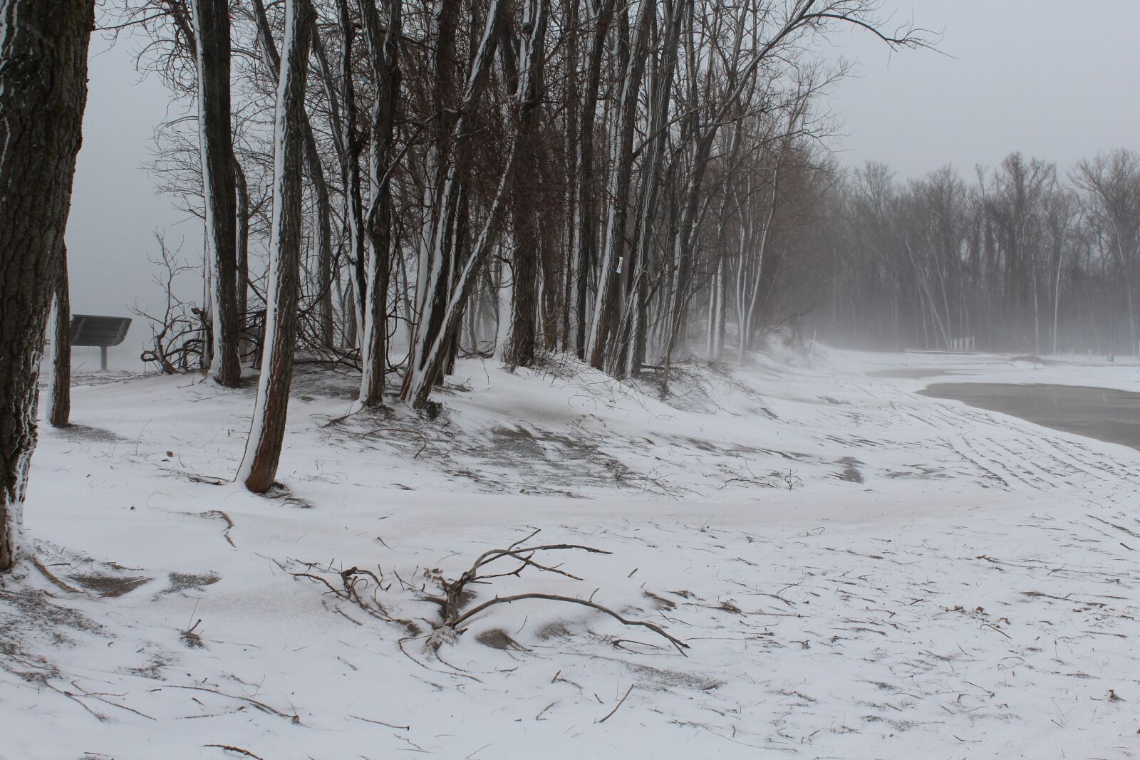 Canon EOS 1200D (EOS Rebel T5 / EOS Kiss X70 / EOS Hi) sample photo. Snow, sand, beach photography