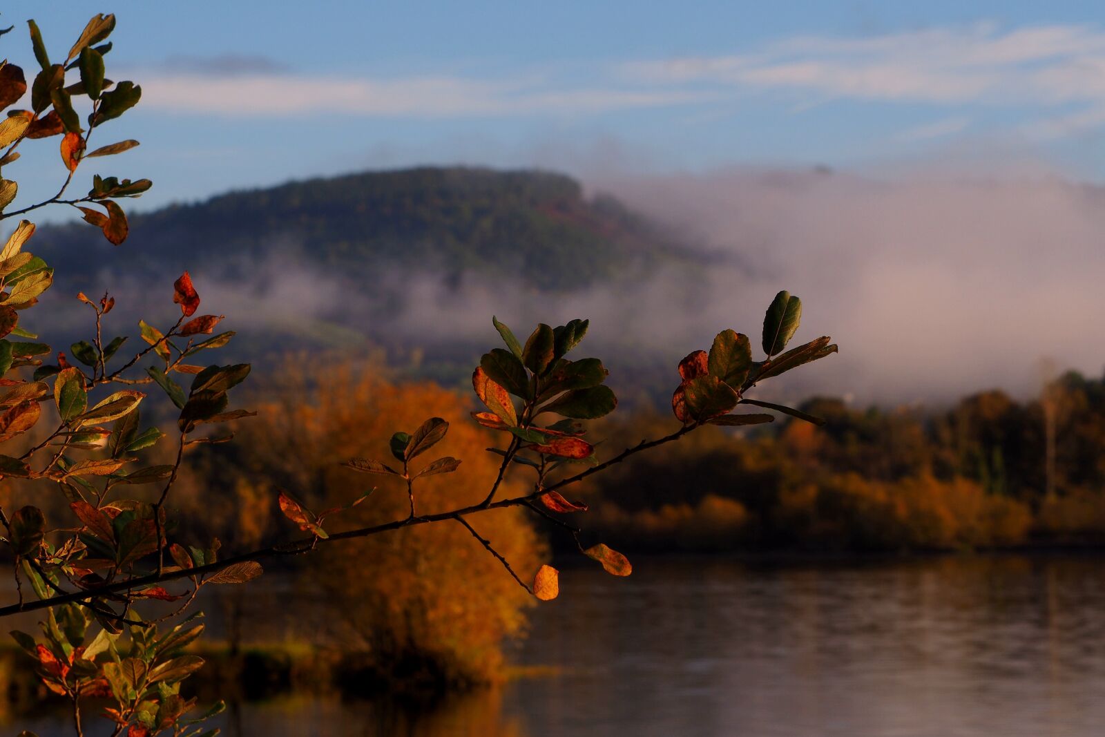 Olympus OM-D E-M10 II sample photo. Ourense, river, miño photography