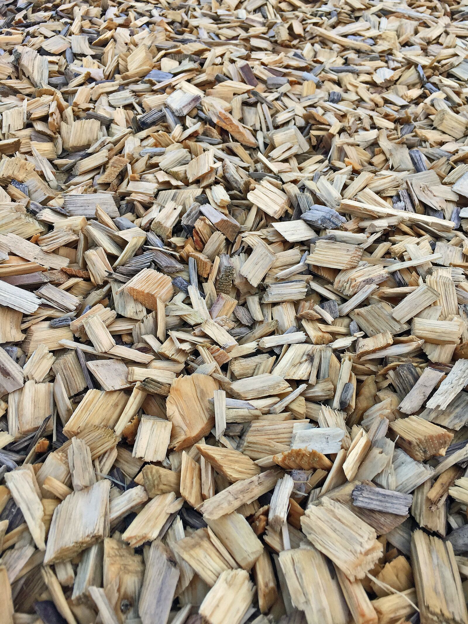 Apple iPhone 6 sample photo. Bark mulch, background, wood photography