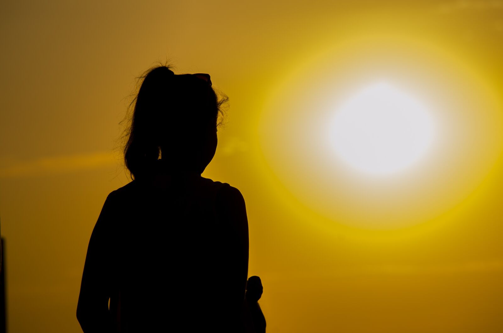 Nikon D7000 sample photo. Evening, sun, sunset photography