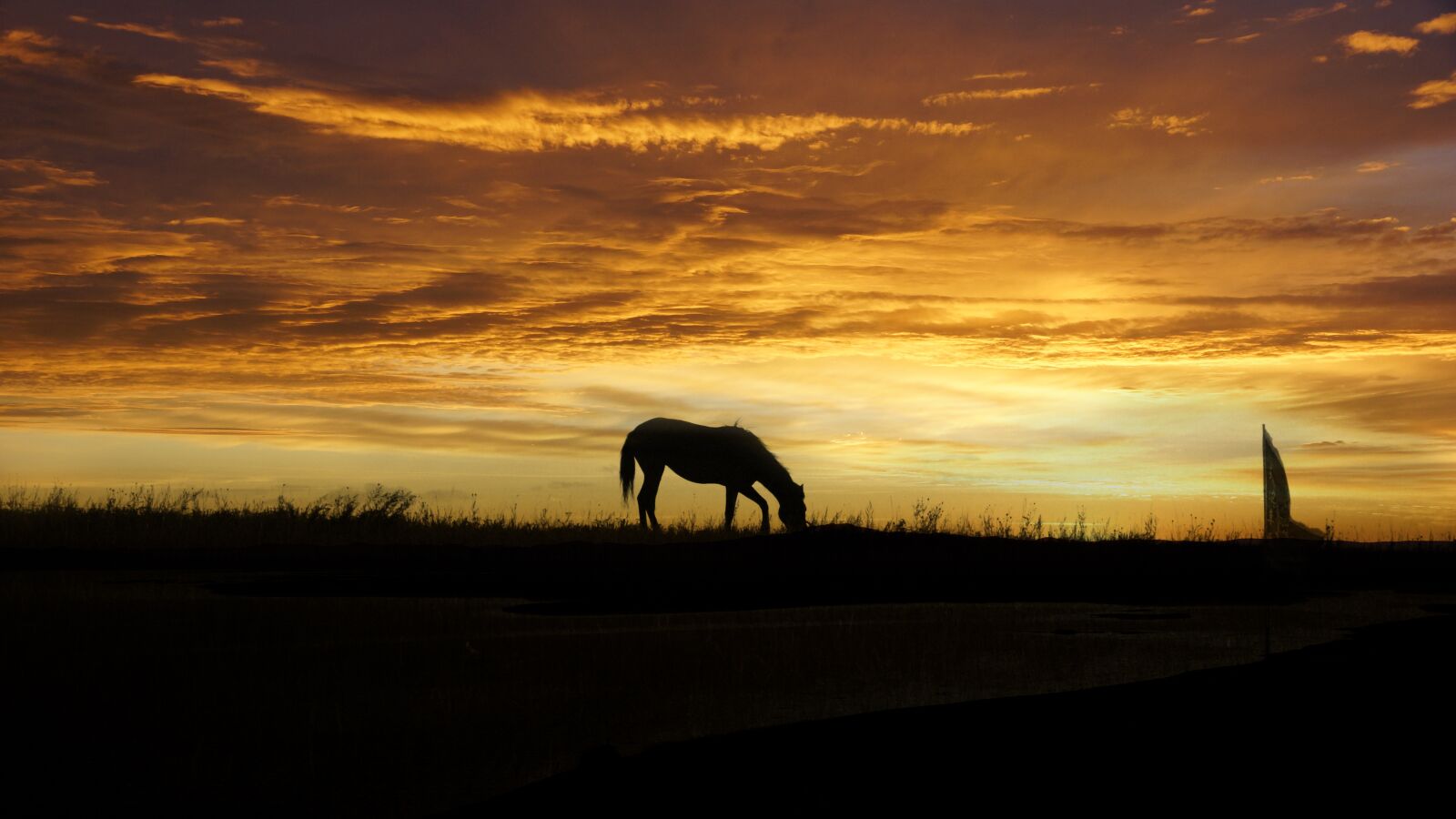 Sony SLT-A65 (SLT-A65V) sample photo. Sunset, silhouette, horse photography