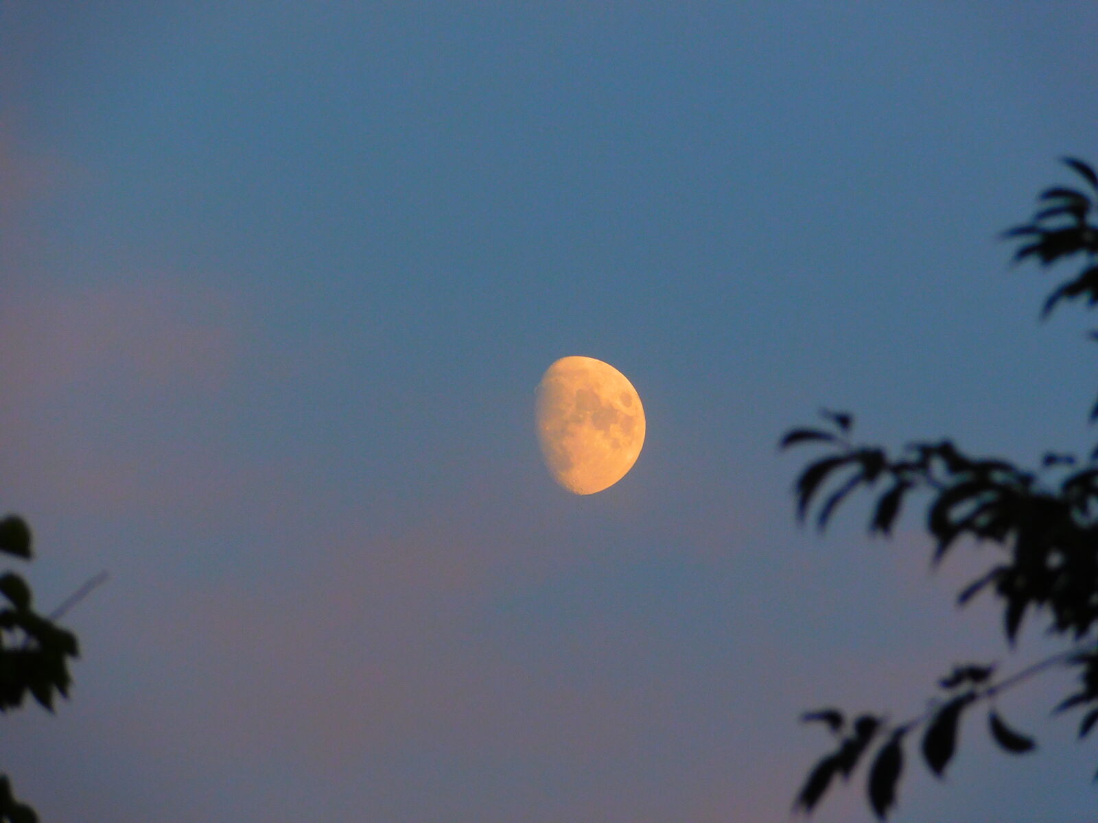 Nikon Coolpix L840 sample photo