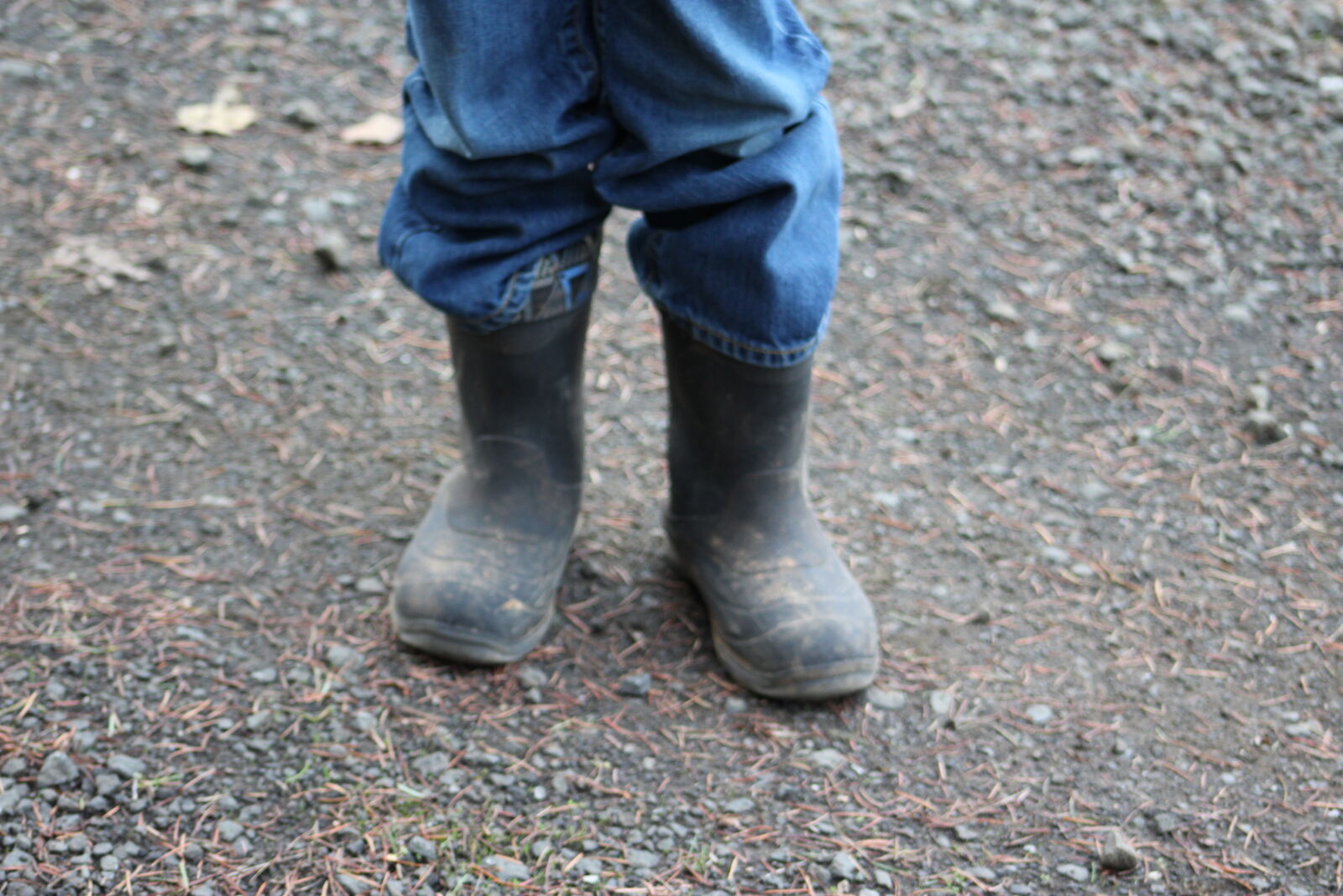 Canon EF 75-300mm f/4-5.6 sample photo. Boots, shoes photography