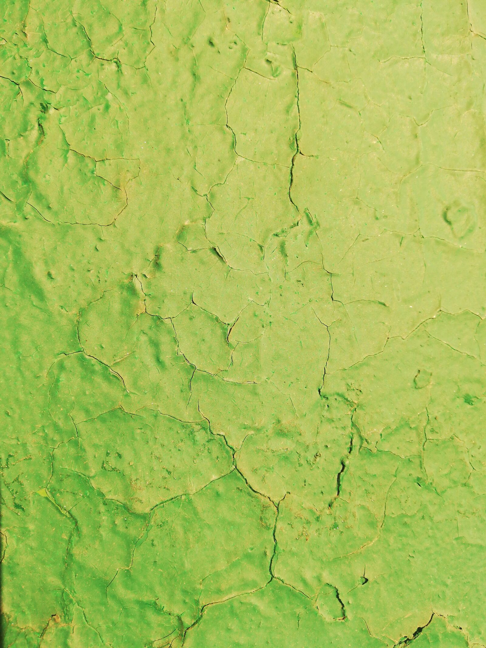 HUAWEI P20 lite sample photo. Background, green, crack photography